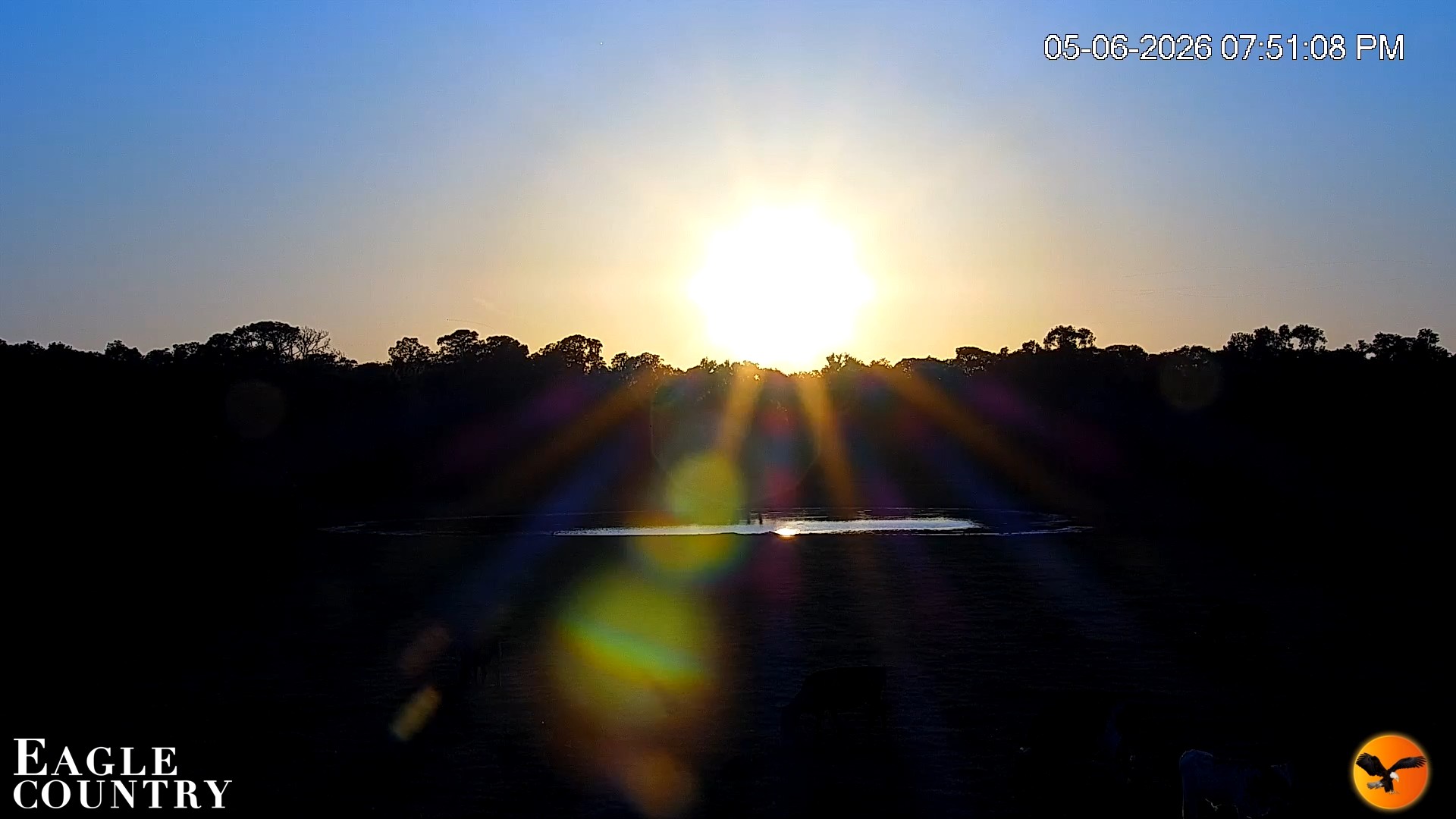 Snapshot of Southwest Florida River Wildlife Live Cams taken May 6, 2026, 11:08pm EDT