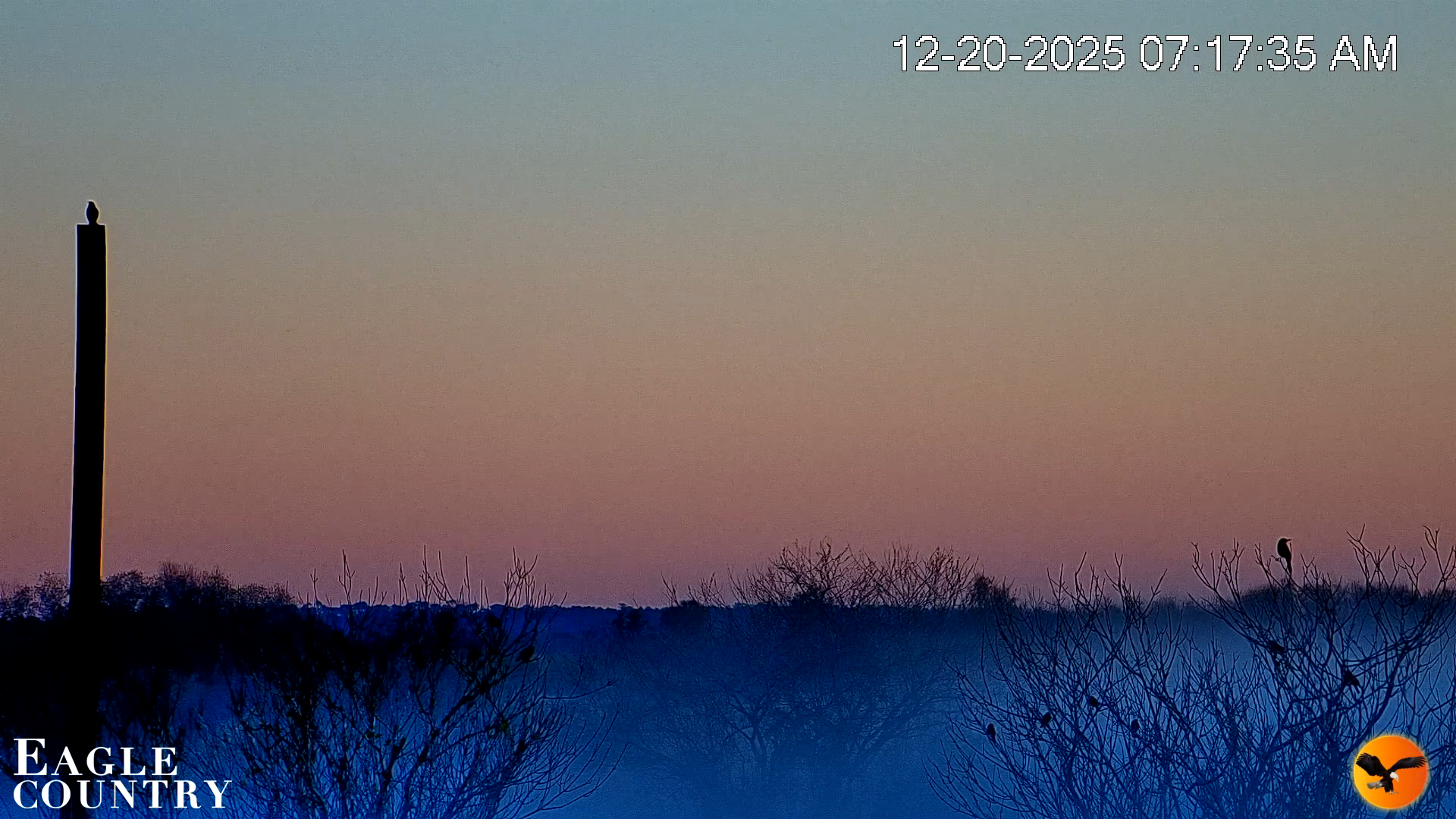 Snapshot of Southwest Florida River Wildlife Live Cams taken Dec 20, 2025, 7:18am EST