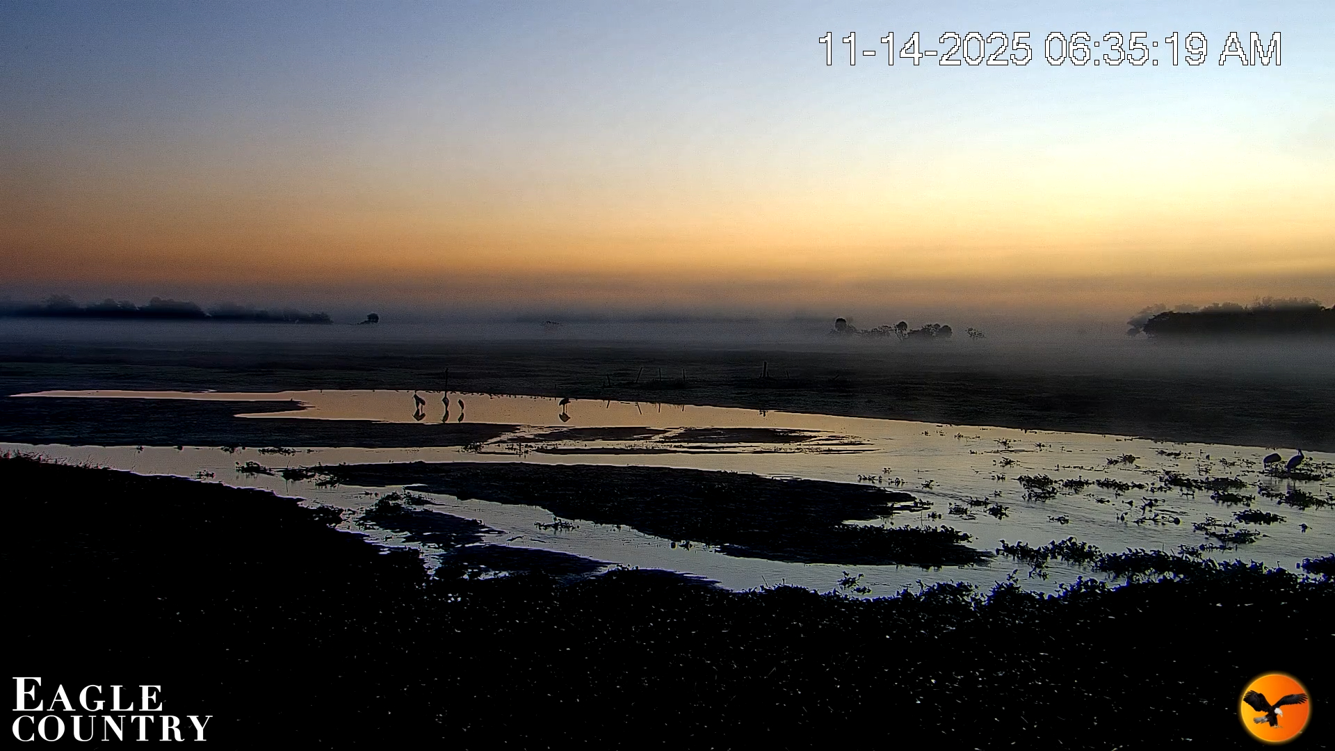 Snapshot of Southwest Florida River Wildlife Live Cams taken Nov 14, 2025, 6:36am EST