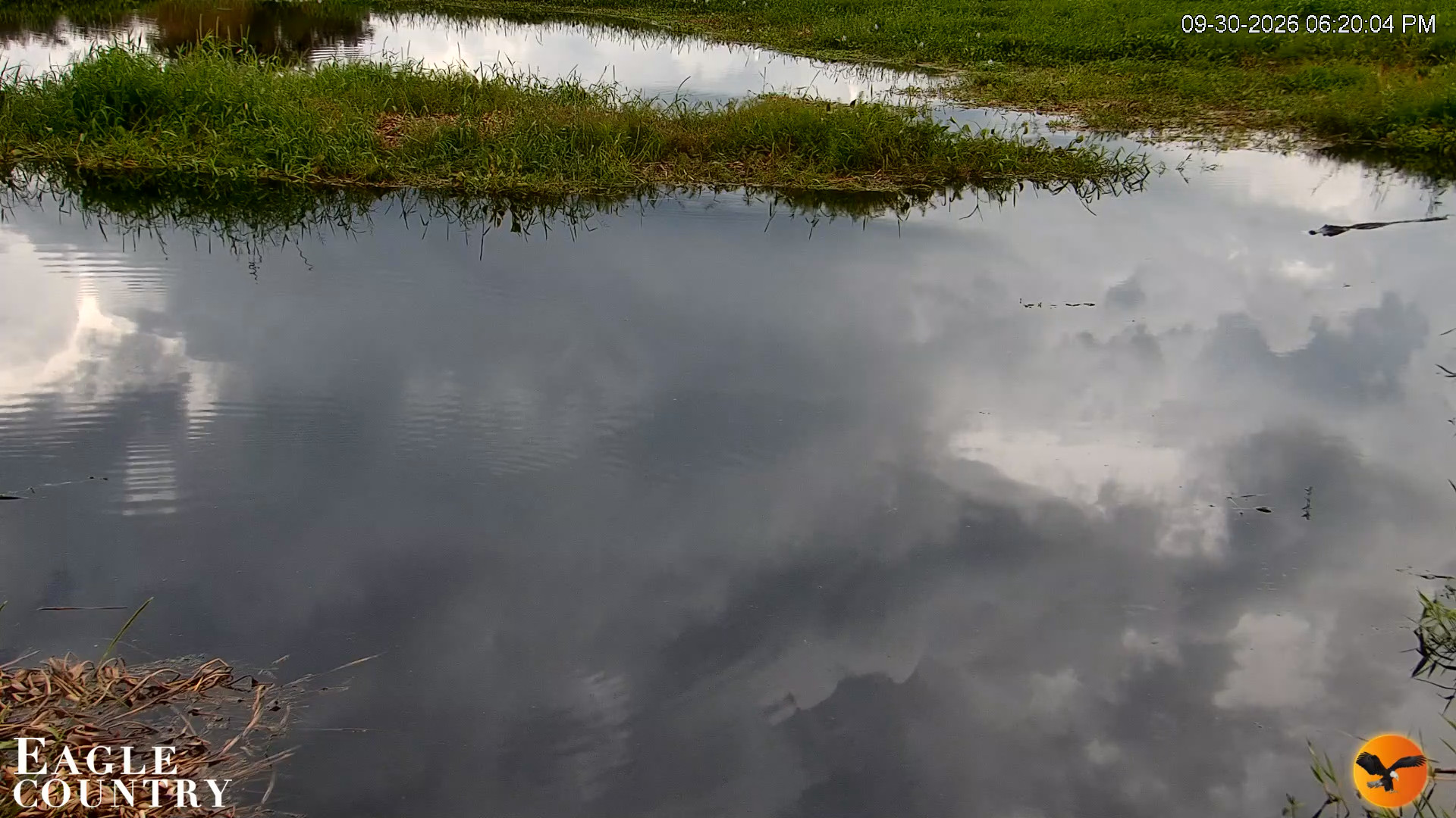 Snapshot of Southwest Florida River Wildlife Live Cams taken Sep 30, 2026, 6:20pm EDT