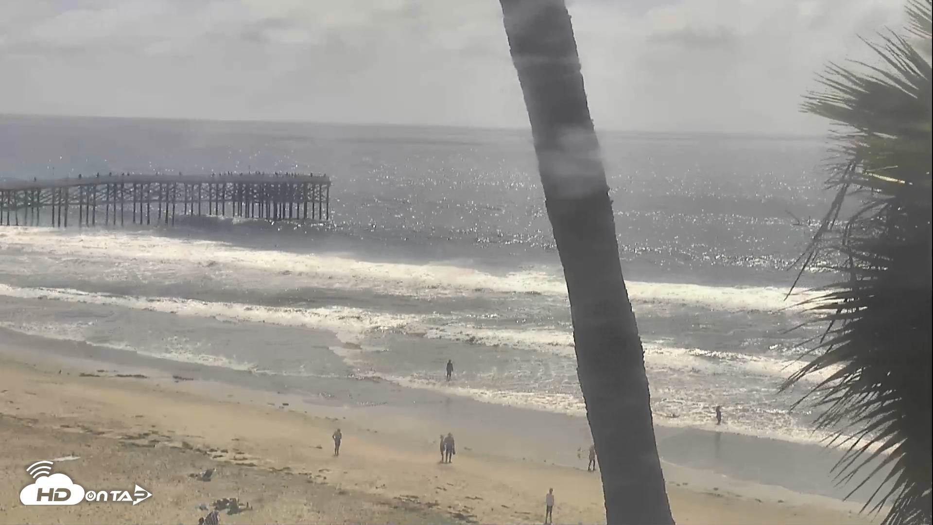 Snapshot of Mission Beach & Crystal Pier Live Webcam taken Sep 22, 2026, 2:12pm PDT