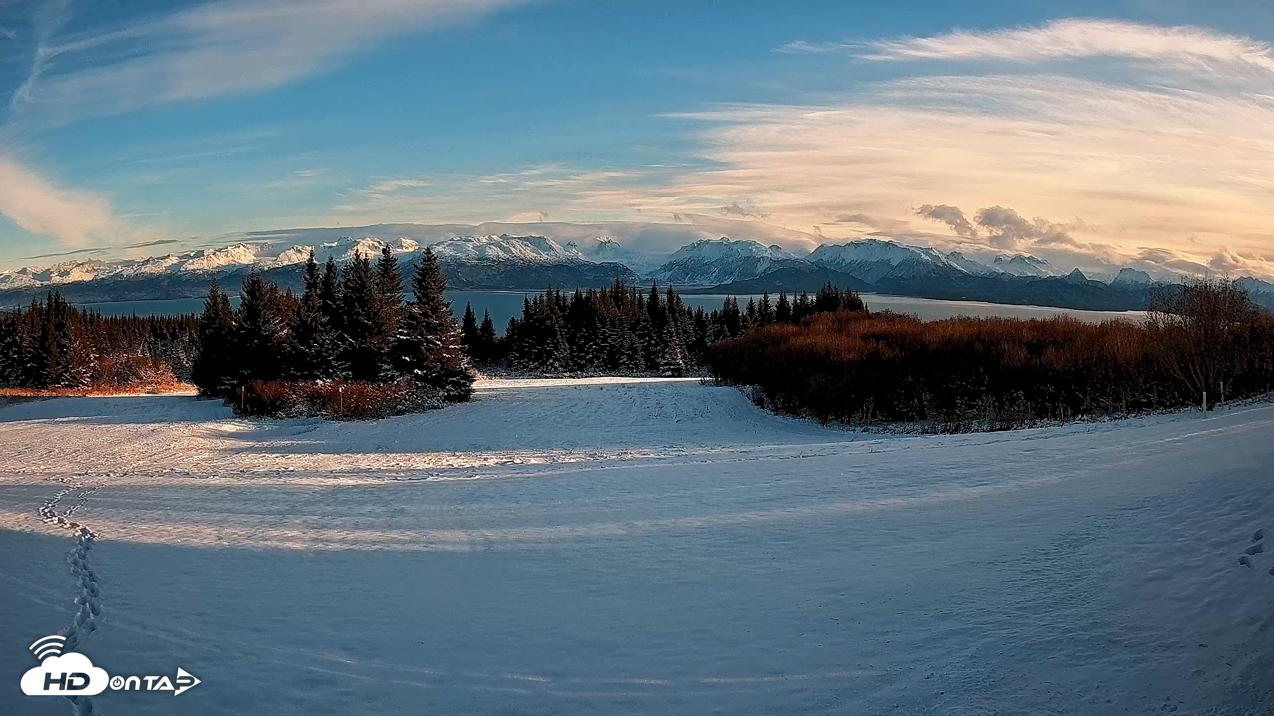 Snapshot of Homer Alaska Northern Lights Live Cam taken Nov 25, 2025, 2:07pm AKST