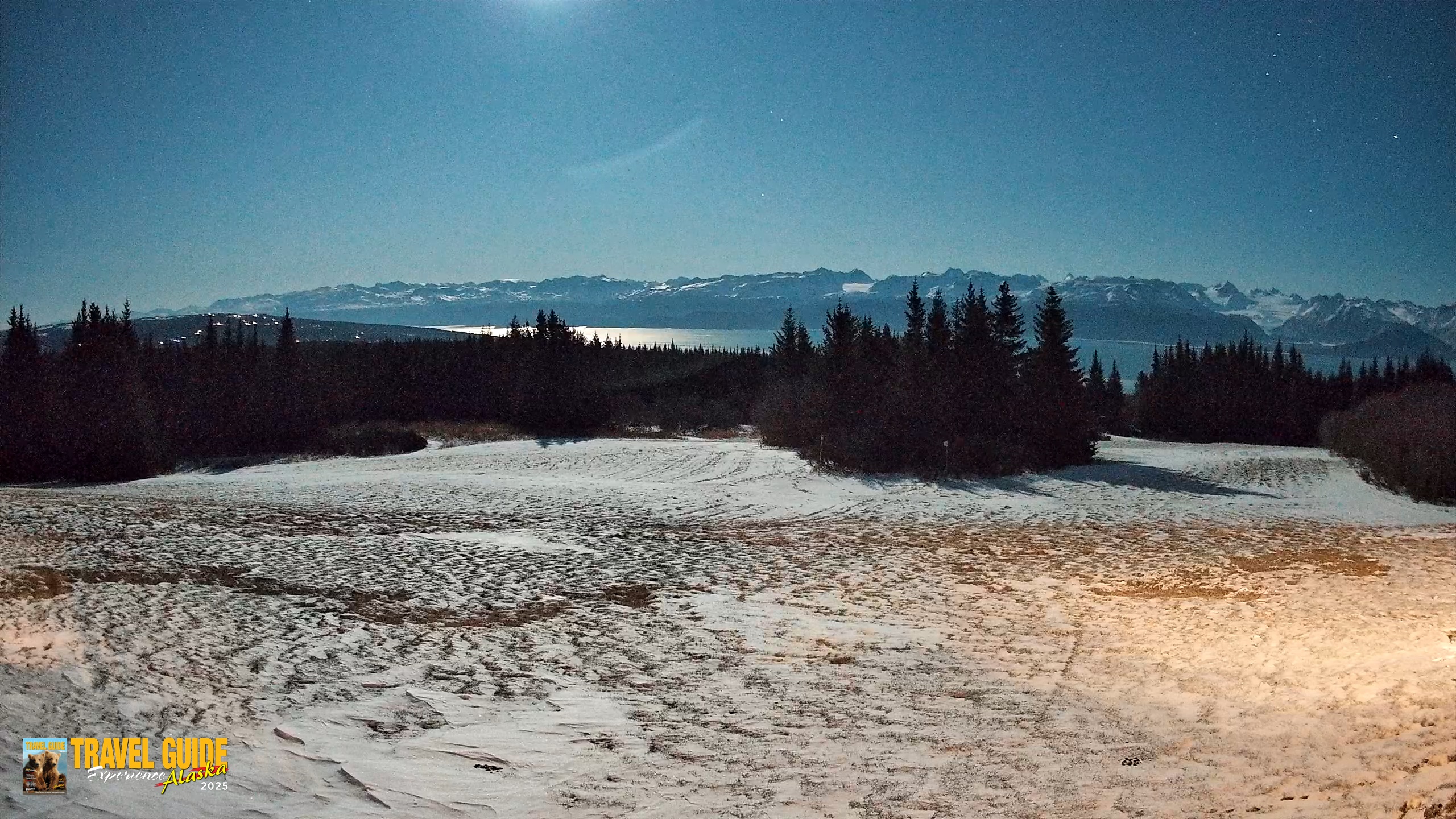 Snapshot of Homer Alaska Northern Lights Live Cam taken Jan 3, 2026, 8:02pm AKST