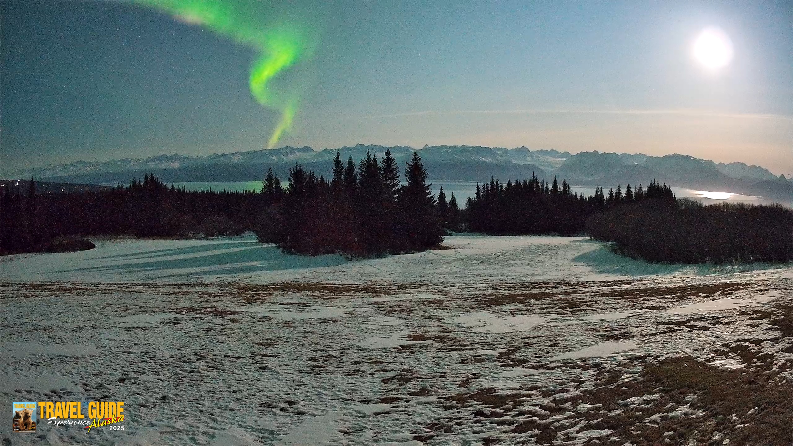 Snapshot of Homer Alaska Northern Lights Live Cam taken Apr 1, 2026, 11:27pm AKDT