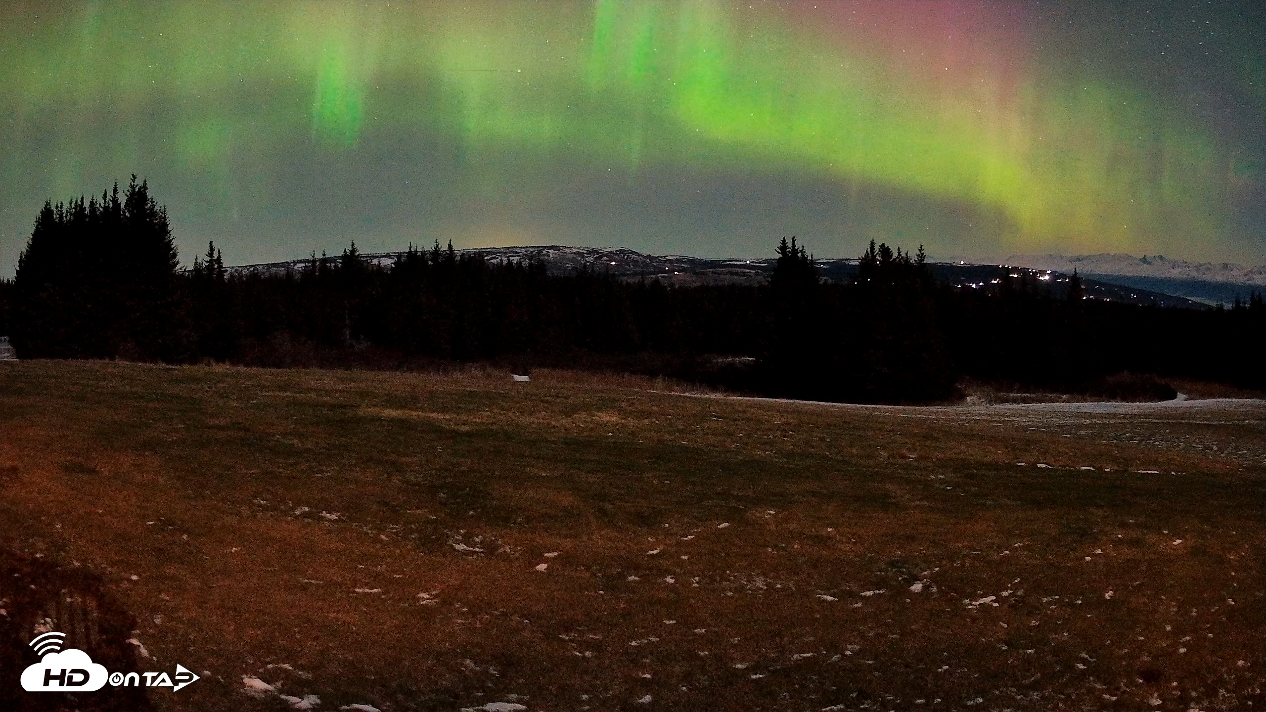 Snapshot of Homer Alaska Northern Lights Live Cam taken Dec 12, 2025, 7:36am AKST