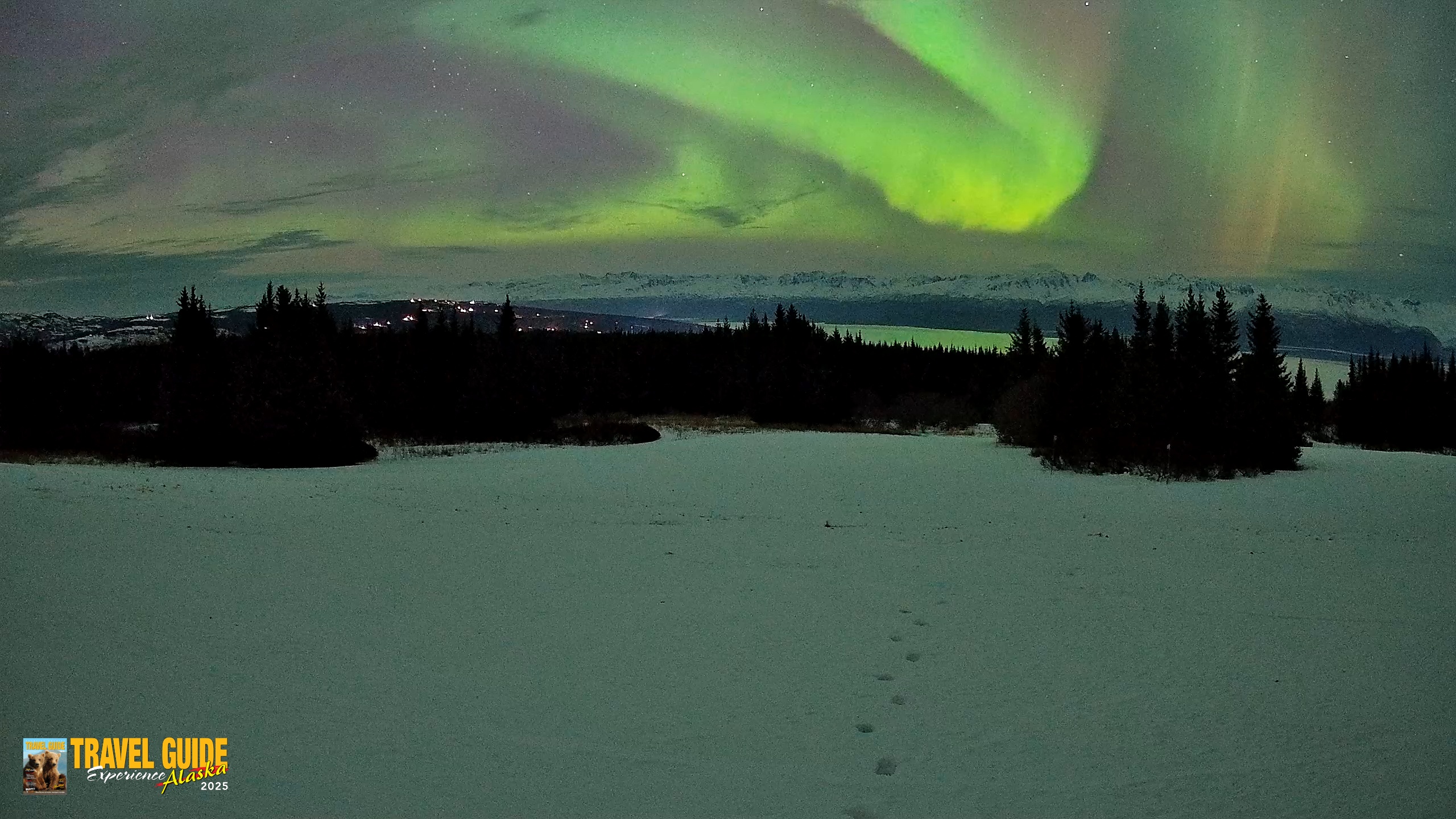 Snapshot of Homer Alaska Northern Lights Live Cam taken Jan 20, 2026, 10:08pm AKST