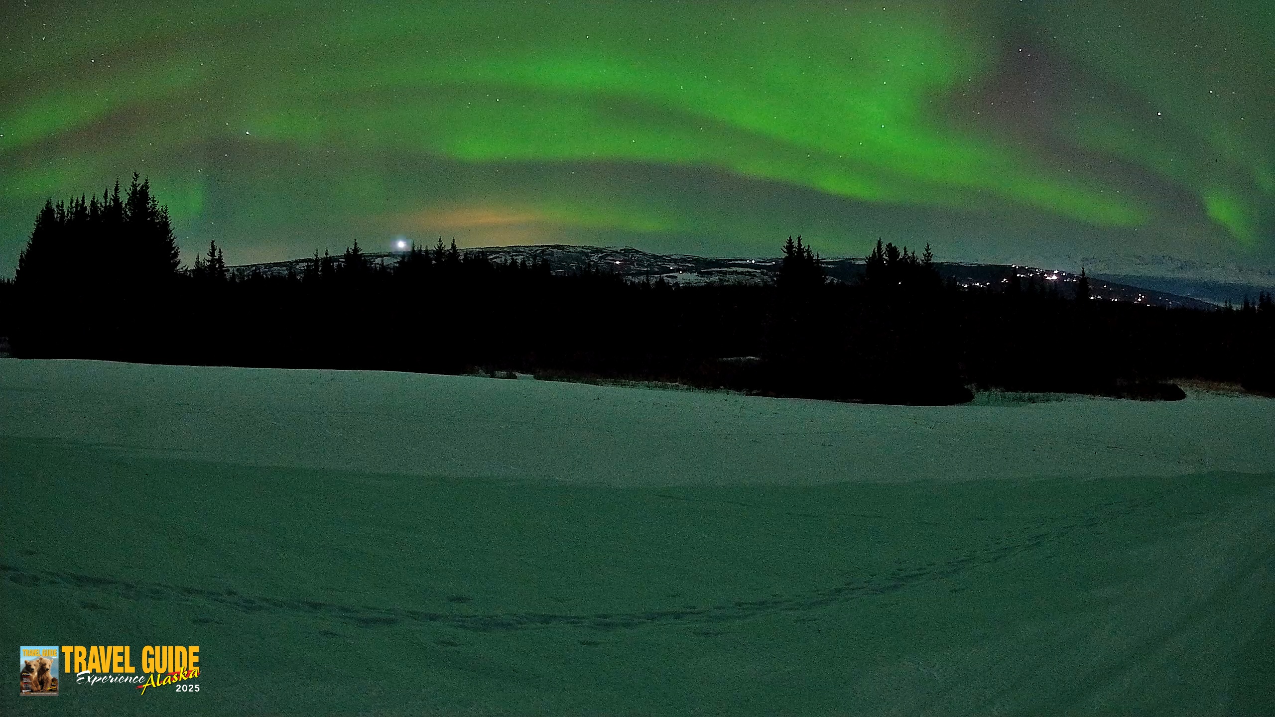 Snapshot of Homer Alaska Northern Lights Live Cam taken Feb 21, 2026, 10:28pm AKST
