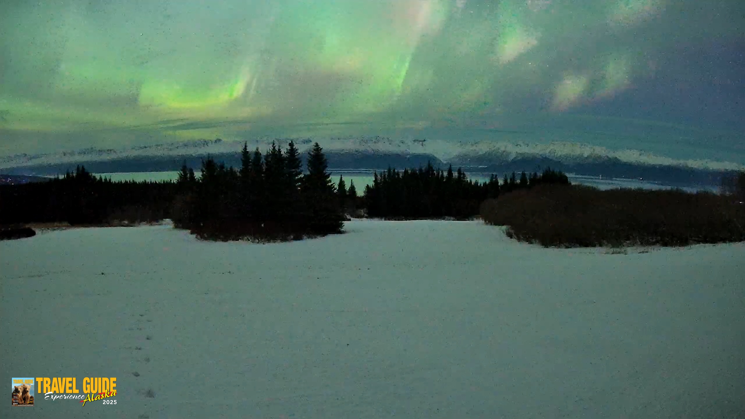 Snapshot of Homer Alaska Northern Lights Live Cam taken Jan 20, 2026, 11:04pm AKST