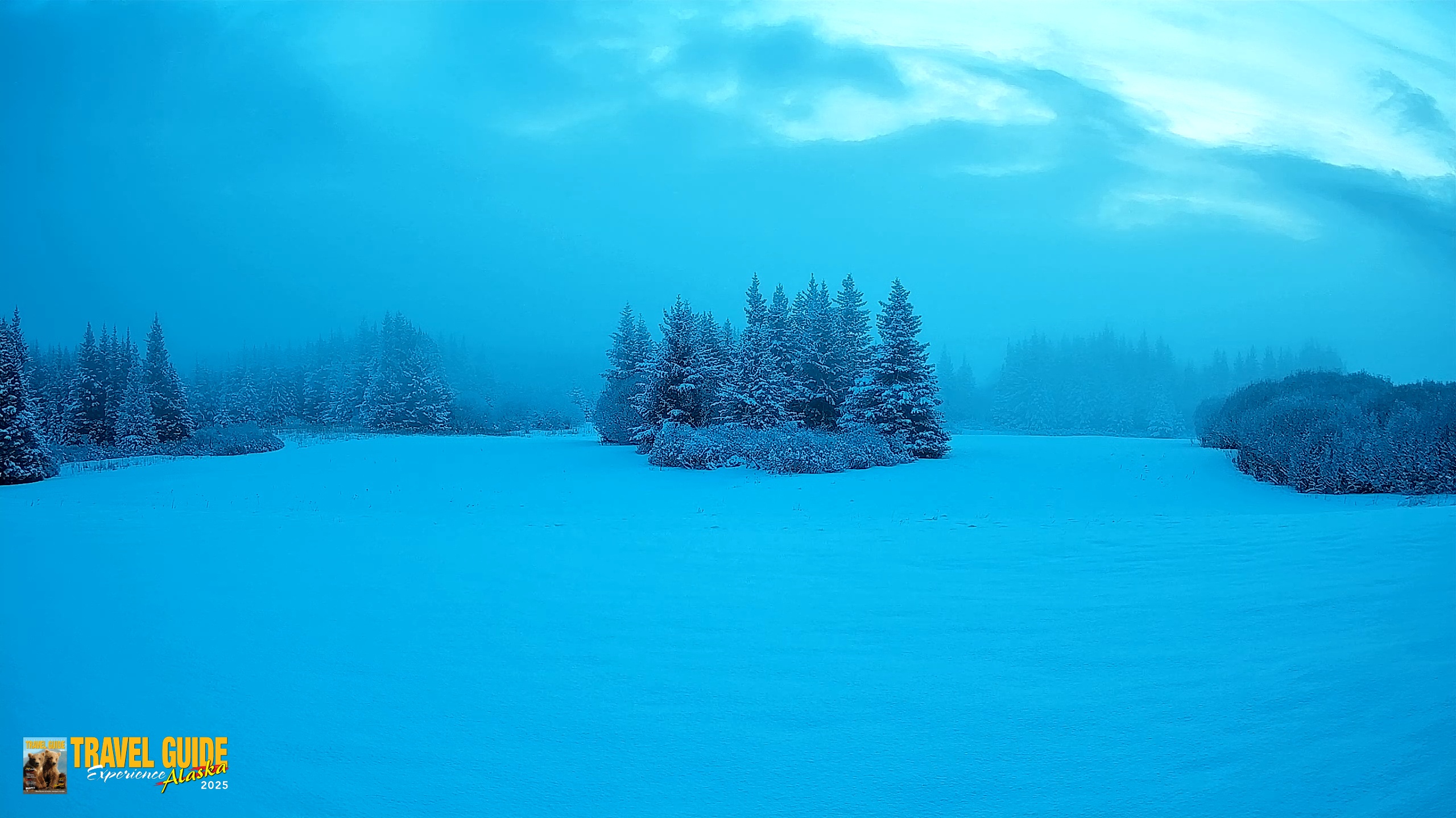 Snapshot of Homer Alaska Northern Lights Live Cam taken Feb 12, 2026, 8:37am AKST