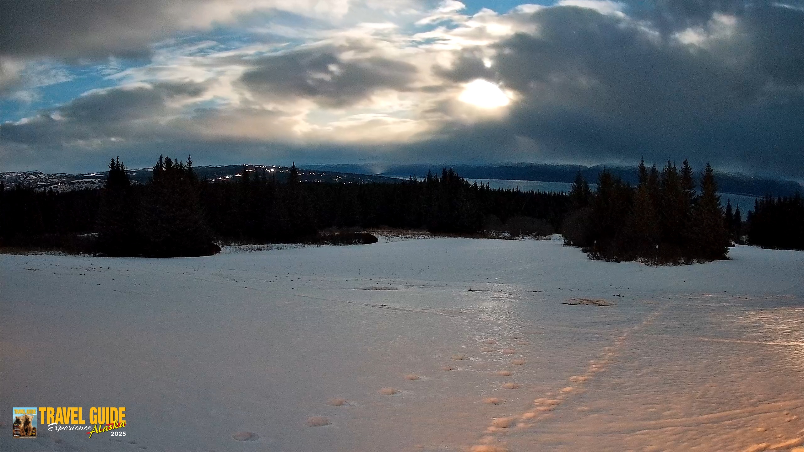 Snapshot of Homer Alaska Northern Lights Live Cam taken Feb 2, 2026, 8:29pm AKST