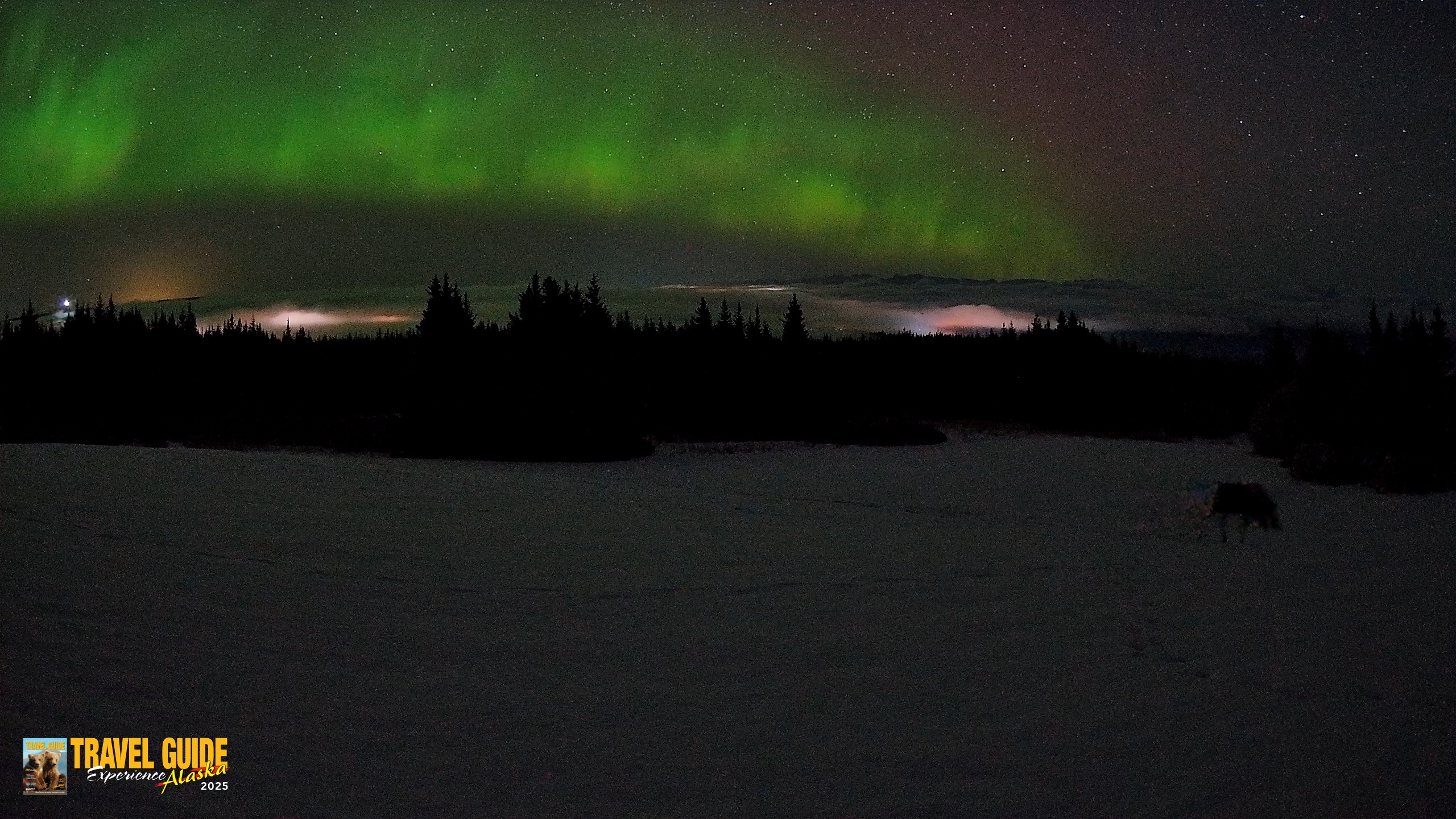 Snapshot of Homer Alaska Northern Lights Live Cam taken Feb 19, 2026, 3:38am AKST