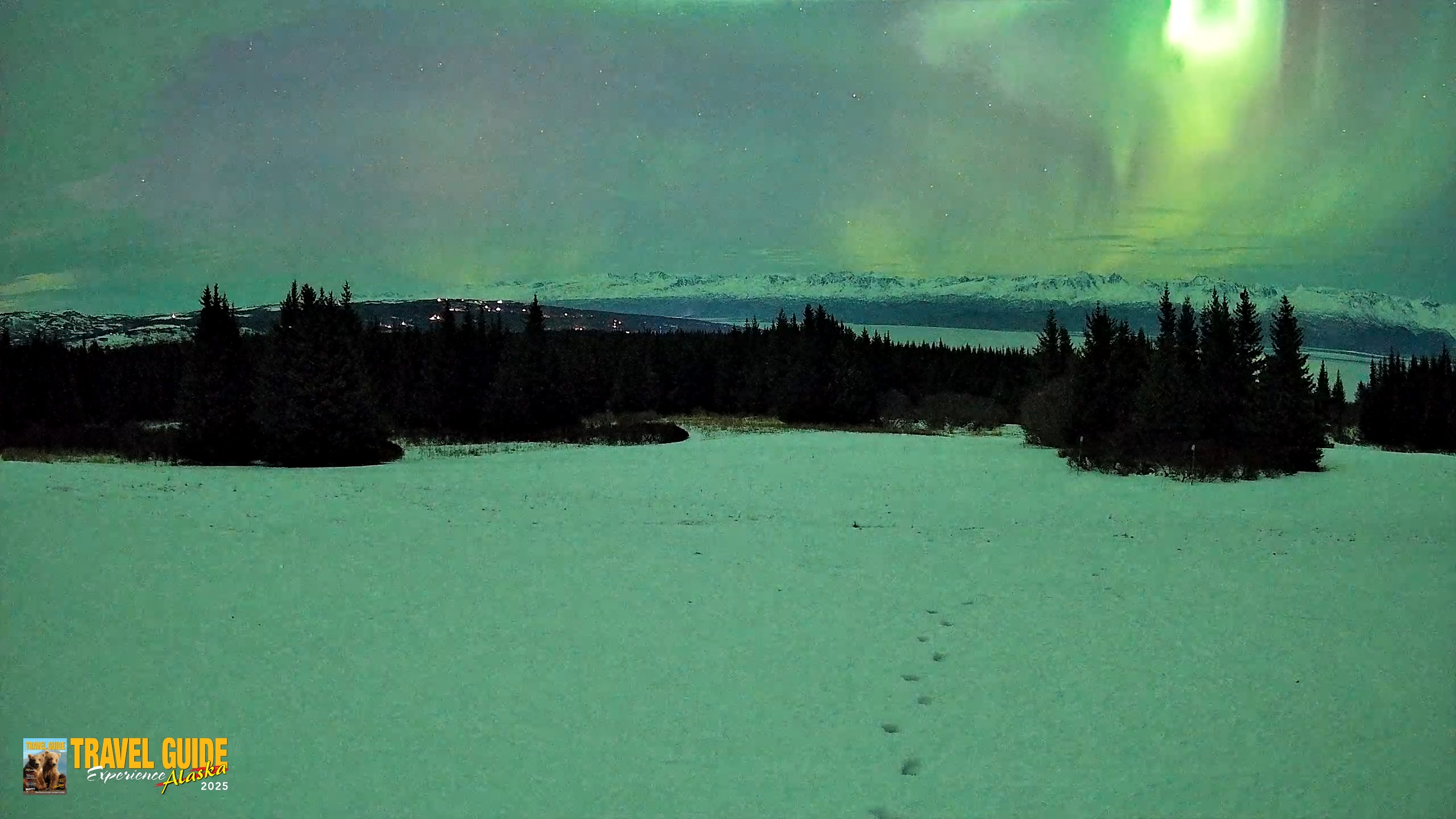 Snapshot of Homer Alaska Northern Lights Live Cam taken Jan 21, 2026, 12:24am AKST