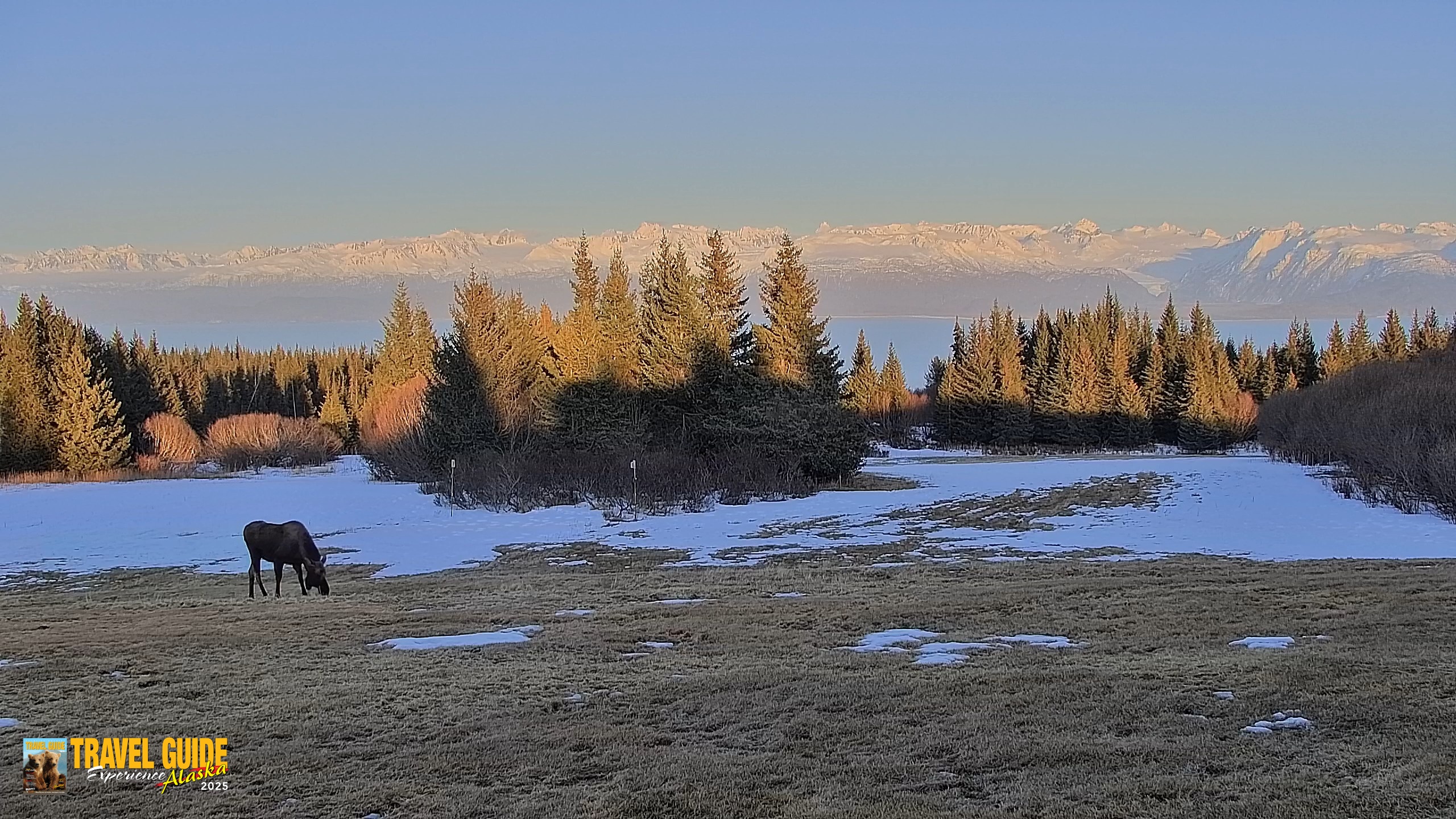 Snapshot of Homer Alaska Northern Lights Live Cam taken Apr 10, 2026, 8:15pm AKDT