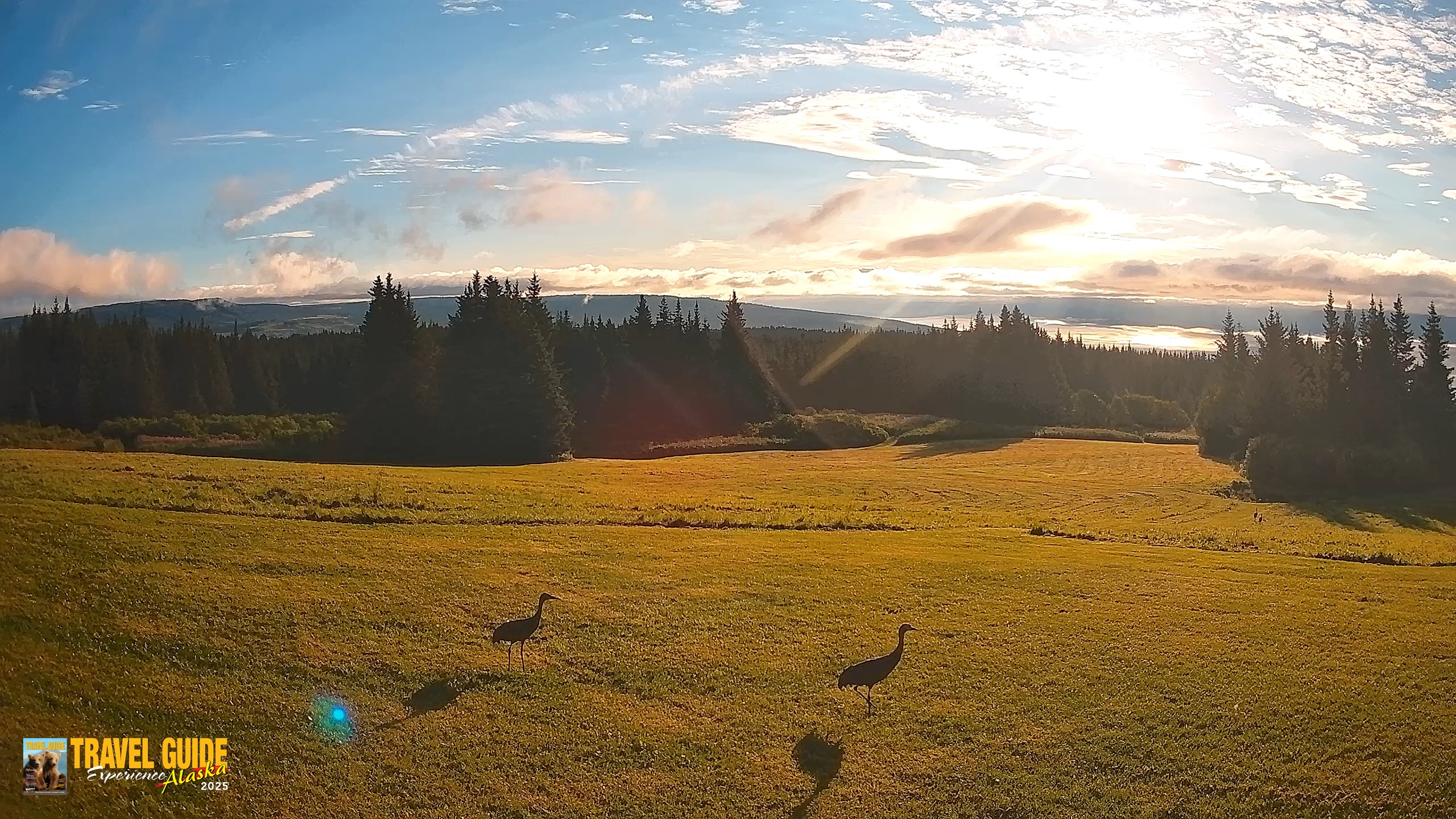 Snapshot of Homer Alaska Northern Lights Live Cam taken Aug 23, 2026, 8:16am AKDT
