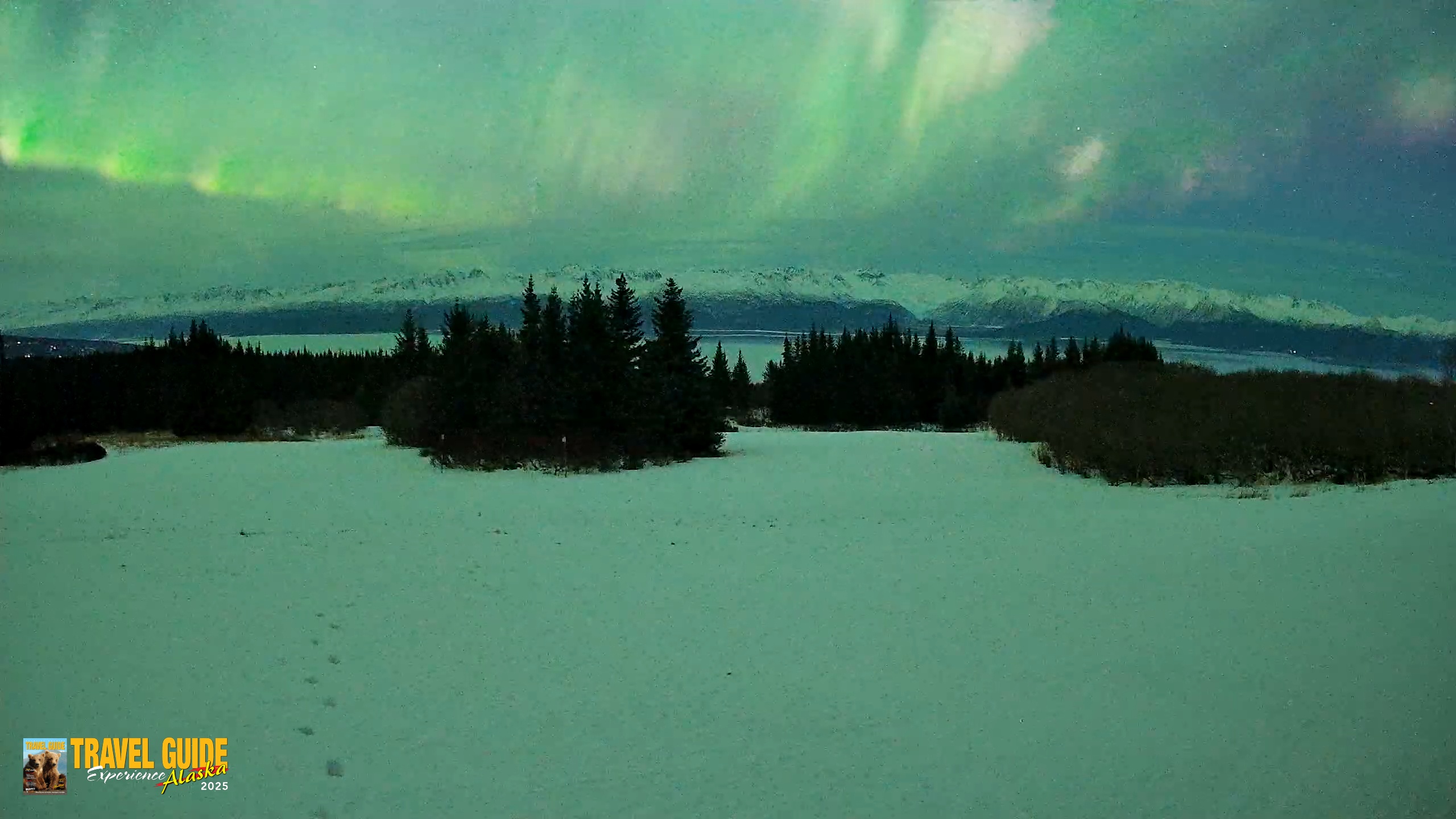 Snapshot of Homer Alaska Northern Lights Live Cam taken Jan 20, 2026, 11:03pm AKST