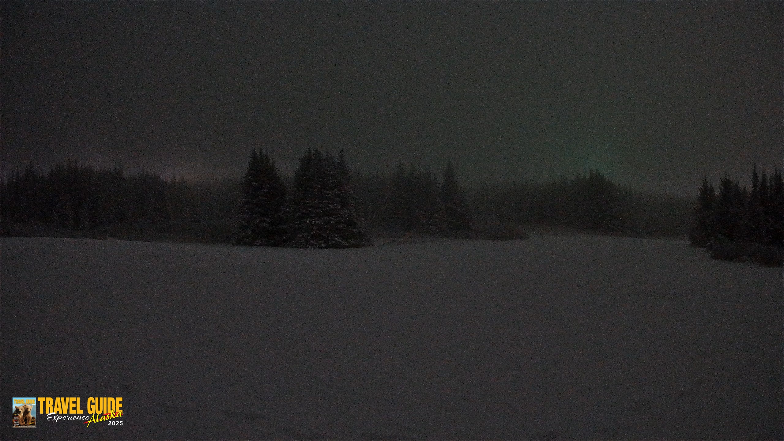 Snapshot of Homer Alaska Northern Lights Live Cam taken Jan 11, 2026, 9:14am AKST