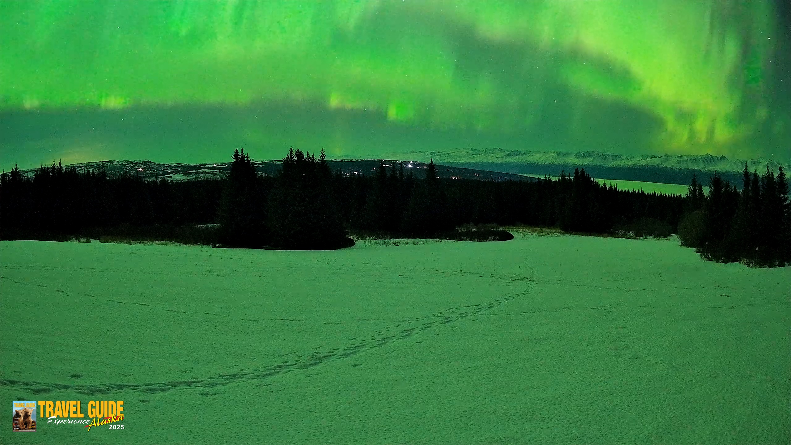 Snapshot of Homer Alaska Northern Lights Live Cam taken Feb 22, 2026, 1:57am AKST