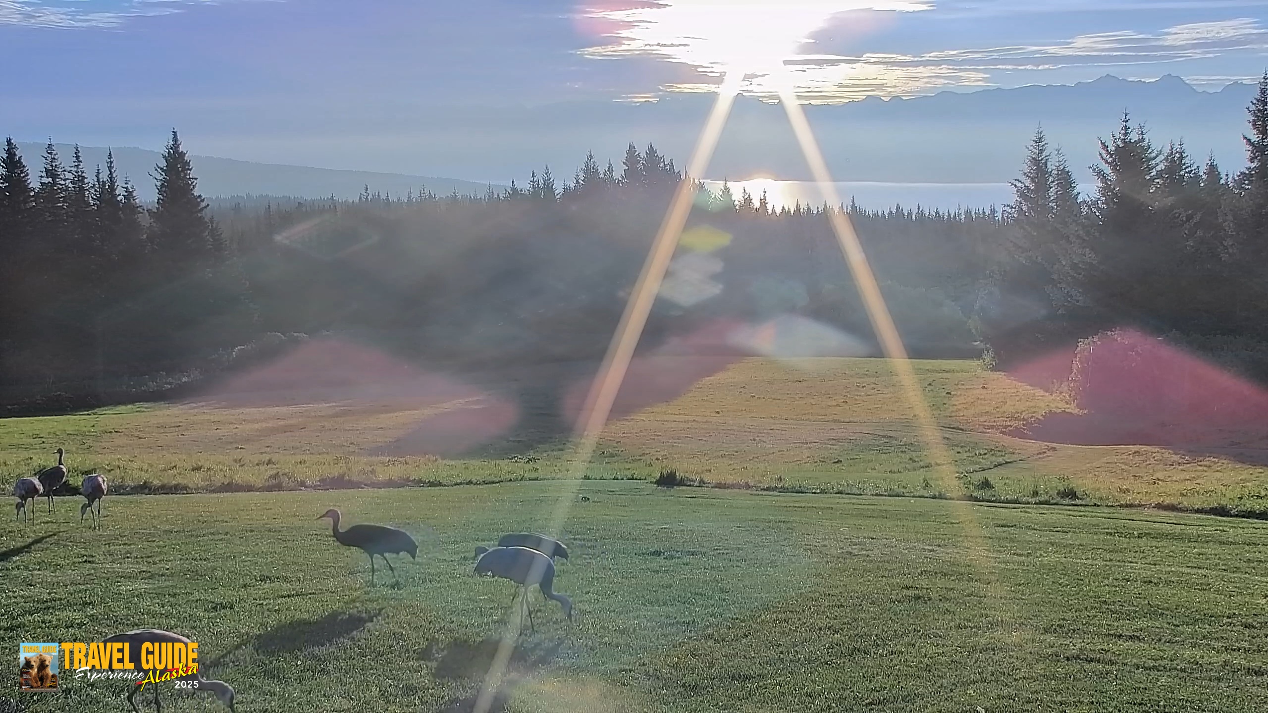 Snapshot of Homer Alaska Northern Lights Live Cam taken Sep 3, 2026, 7:44am AKDT