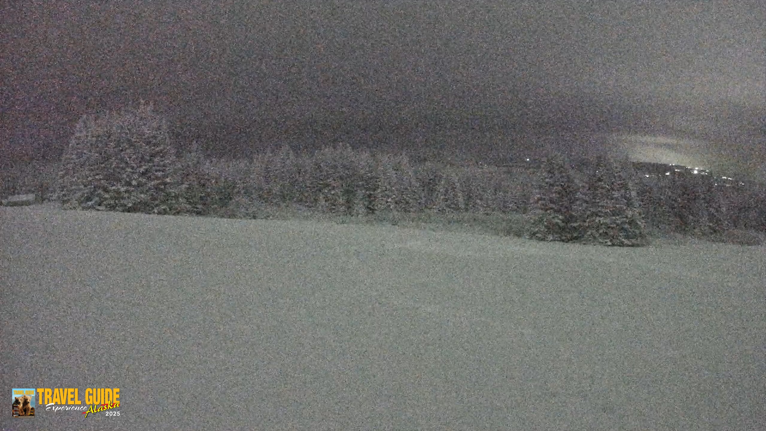 Snapshot of Homer Alaska Northern Lights Live Cam taken Jan 12, 2026, 11:42pm AKST