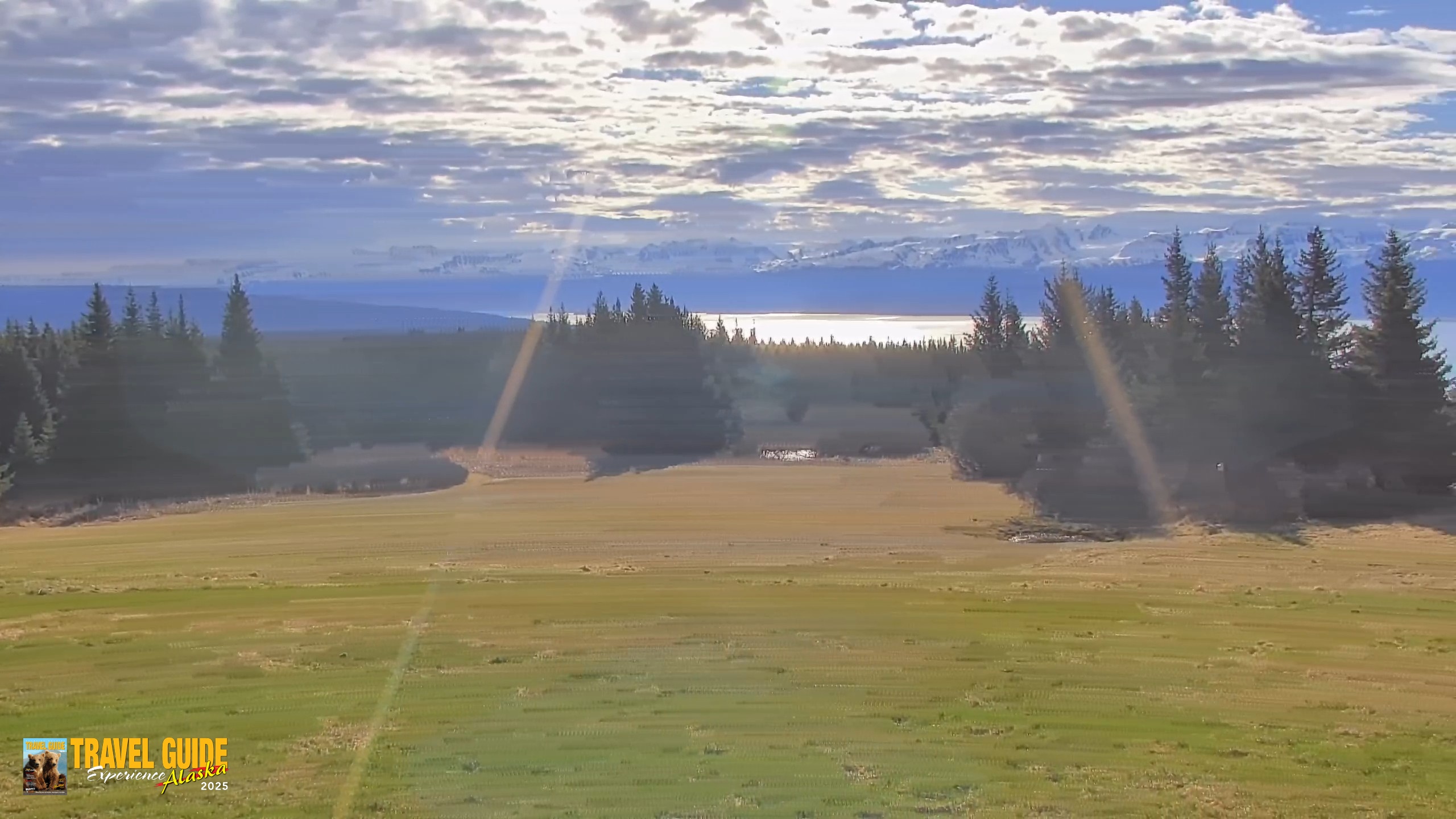 Snapshot of Homer Alaska Northern Lights Live Cam taken May 29, 2026, 8:29am AKDT