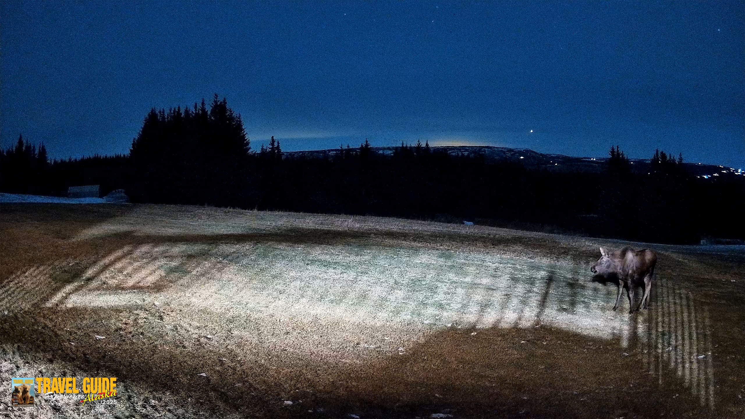 Snapshot of Homer Alaska Northern Lights Live Cam taken Dec 25, 2025, 7:22pm AKST