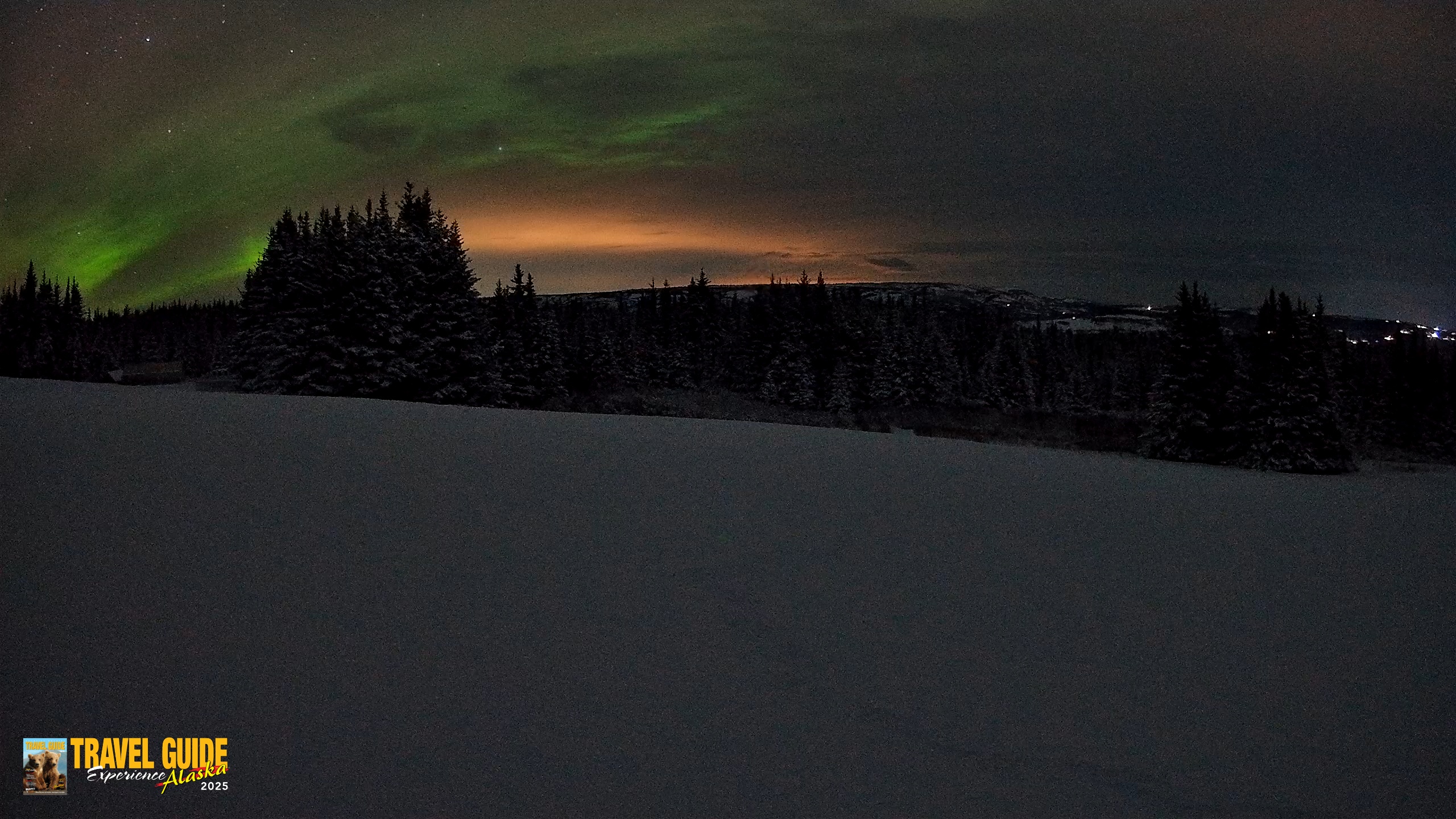 Snapshot of Homer Alaska Northern Lights Live Cam taken Jan 10, 2026, 10:03am AKST