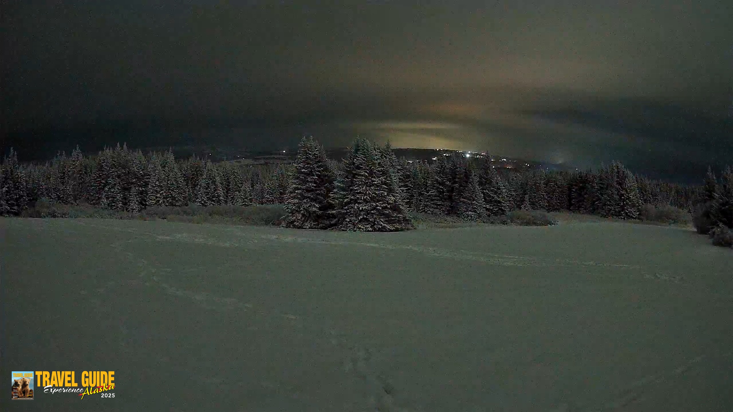 Snapshot of Homer Alaska Northern Lights Live Cam taken Jan 12, 2026, 11:43pm AKST