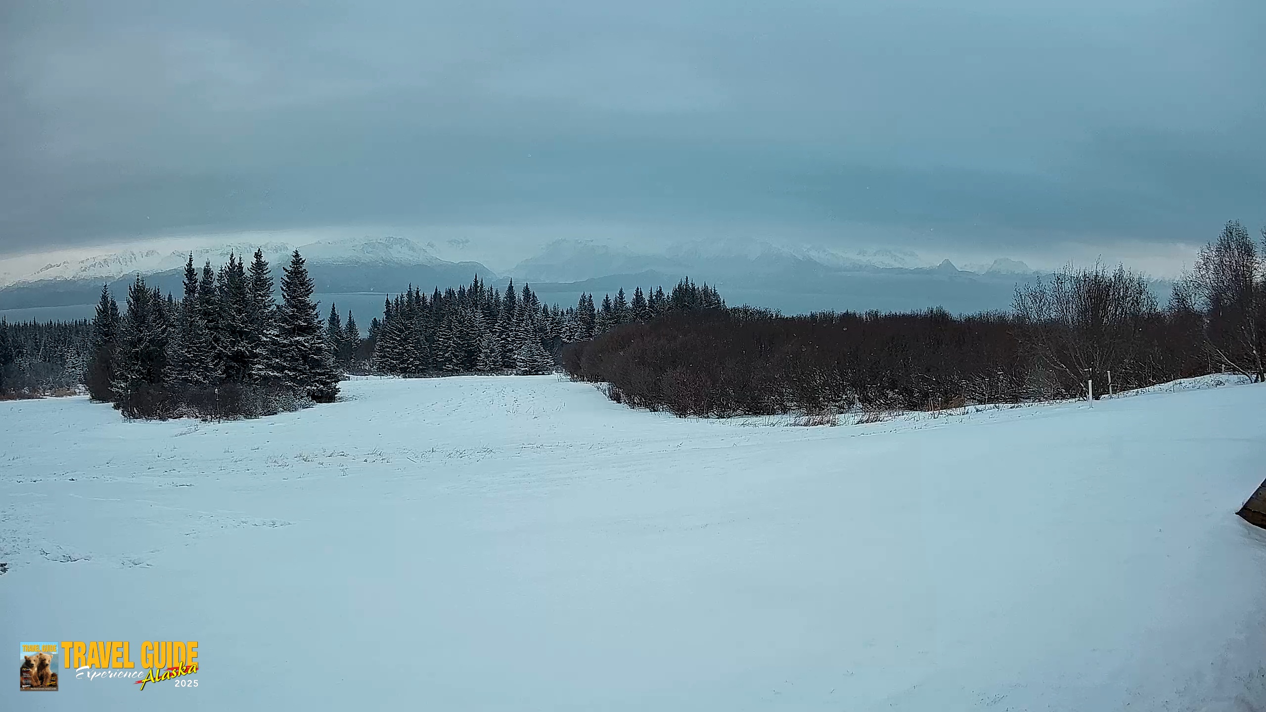 Snapshot of Homer Alaska Northern Lights Live Cam taken Jan 5, 2026, 10:23am AKST