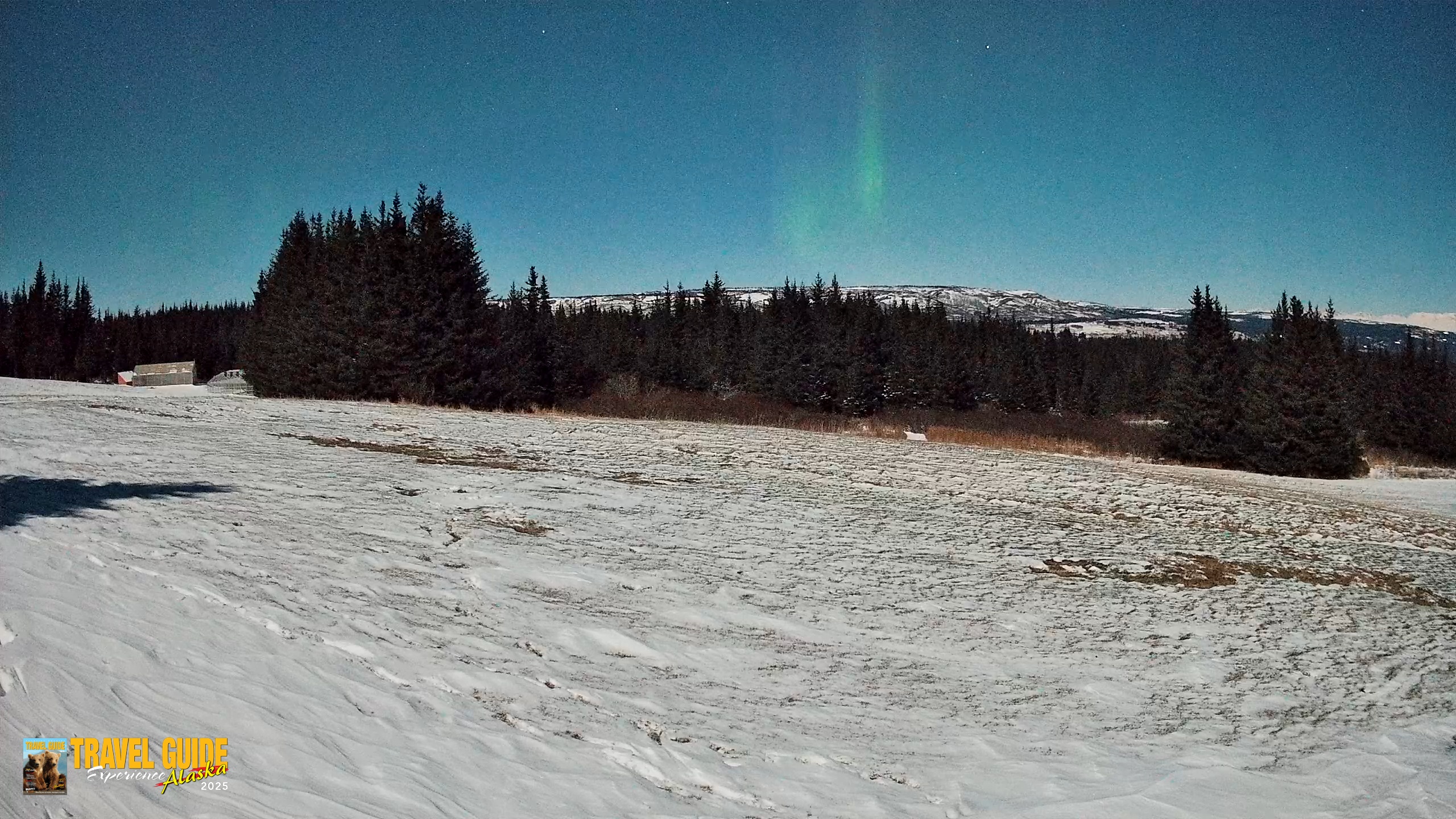 Snapshot of Homer Alaska Northern Lights Live Cam taken Jan 3, 2026, 3:40am AKST