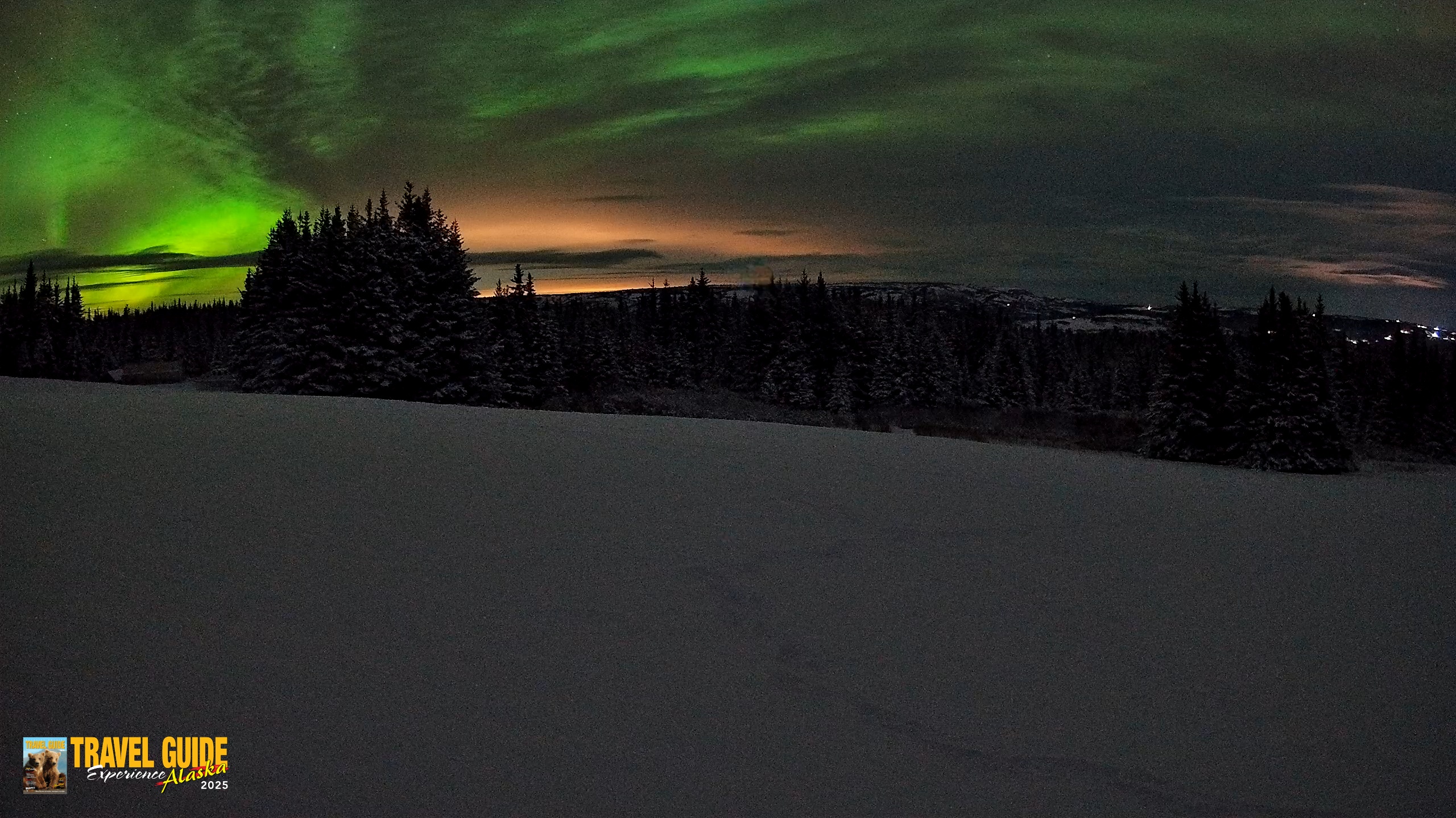 Snapshot of Homer Alaska Northern Lights Live Cam taken Jan 10, 2026, 10:26am AKST