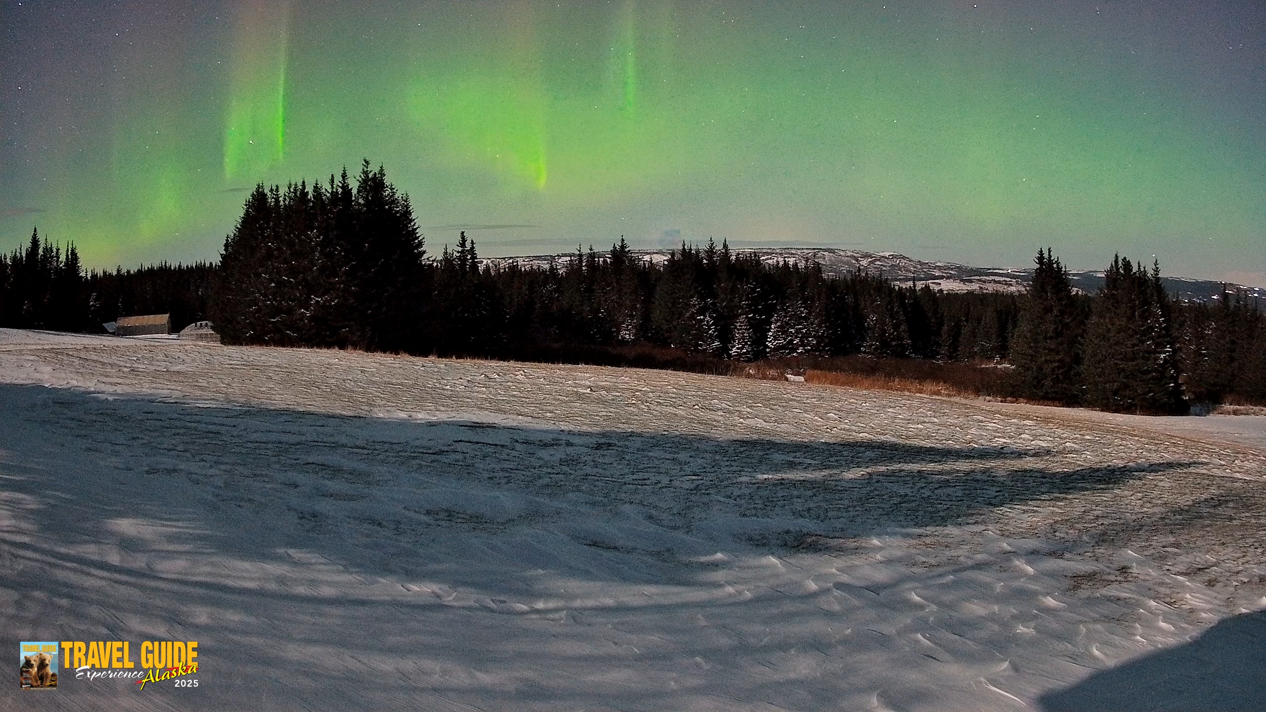 Snapshot of Homer Alaska Northern Lights Live Cam taken Dec 29, 2025, 12:41am AKST