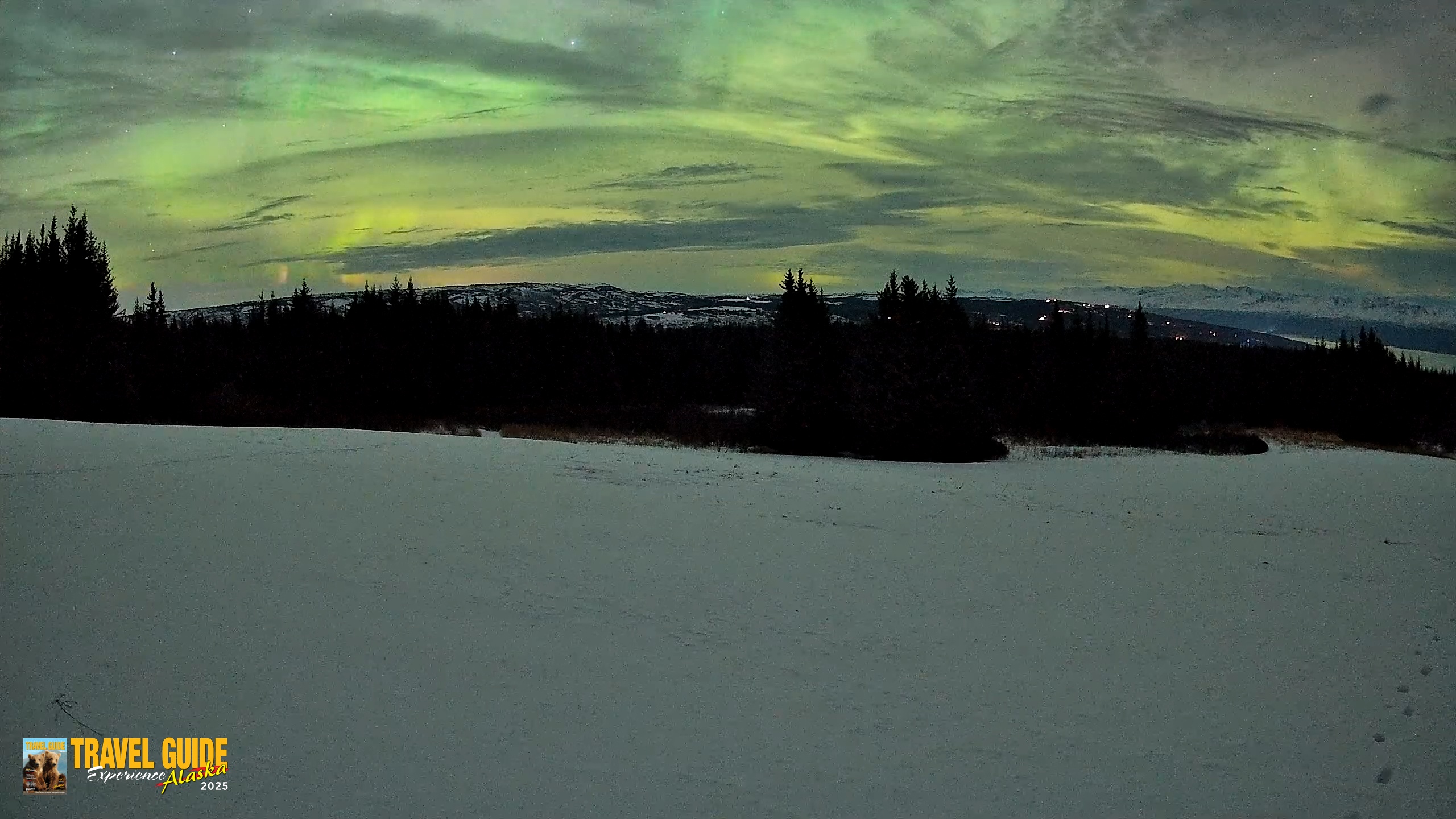Snapshot of Homer Alaska Northern Lights Live Cam taken Jan 21, 2026, 2:31am AKST