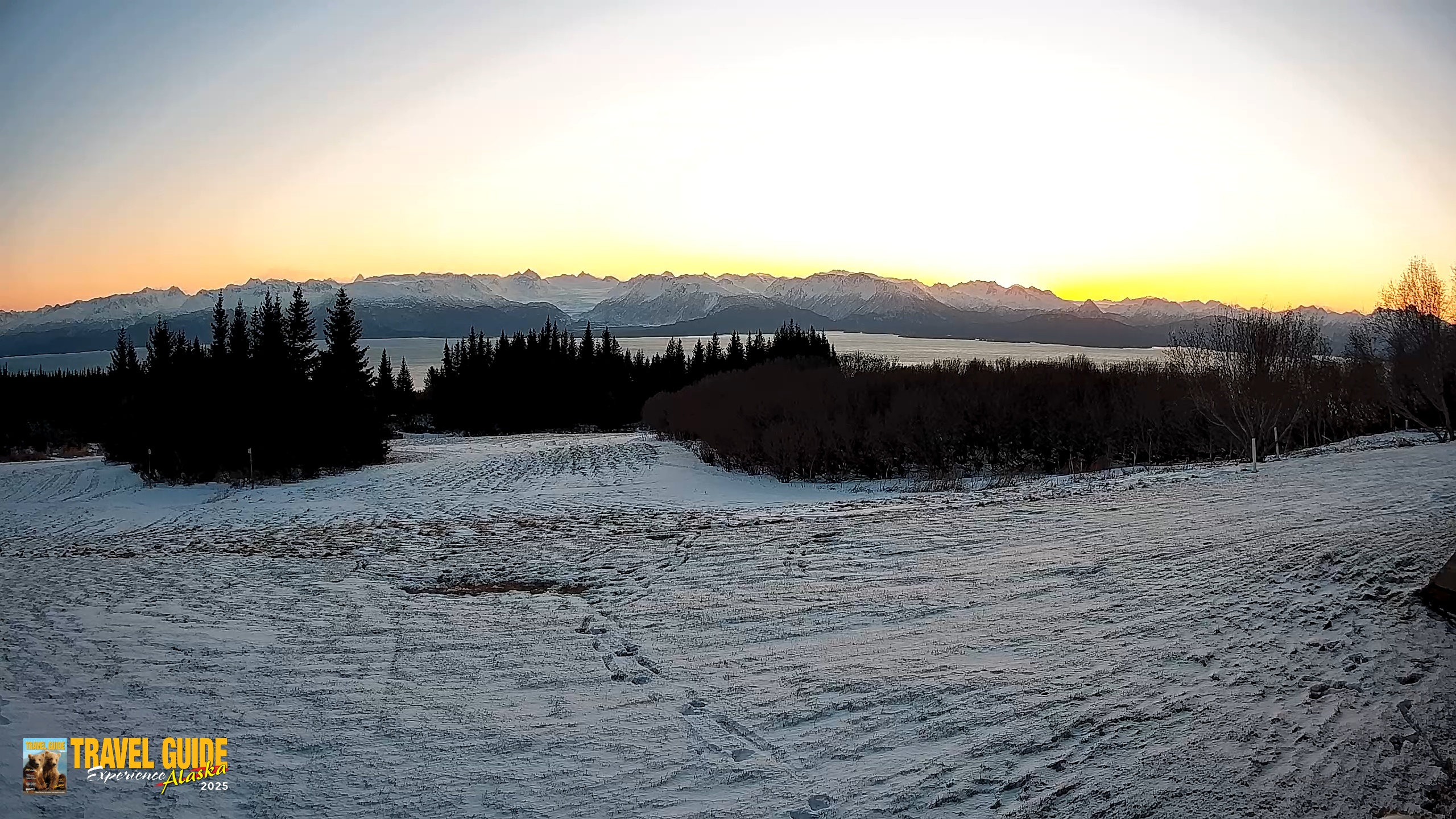 Snapshot of Homer Alaska Northern Lights Live Cam taken Dec 31, 2025, 10:15am AKST