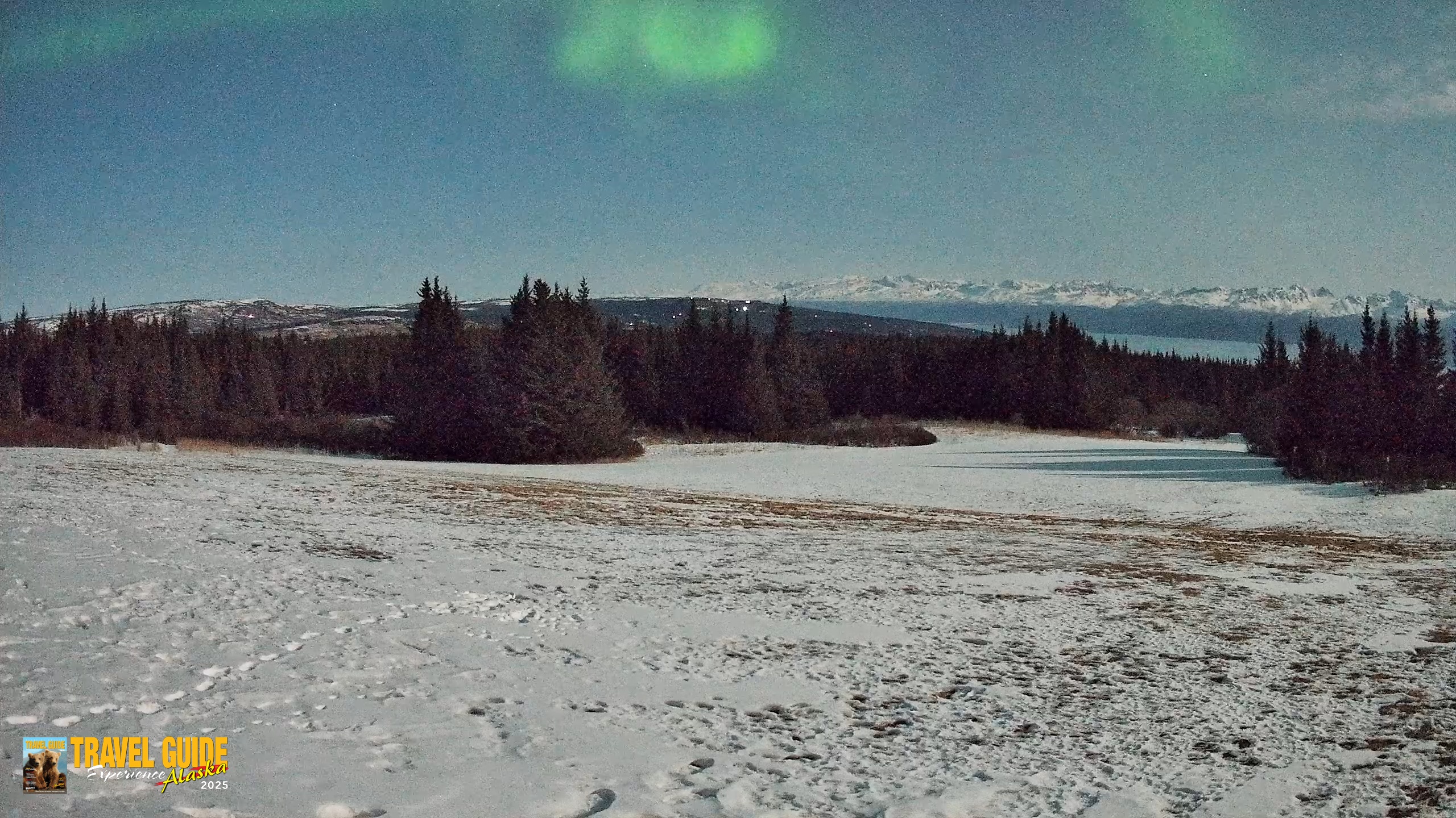 Snapshot of Homer Alaska Northern Lights Live Cam taken Apr 2, 2026, 1:20am AKDT