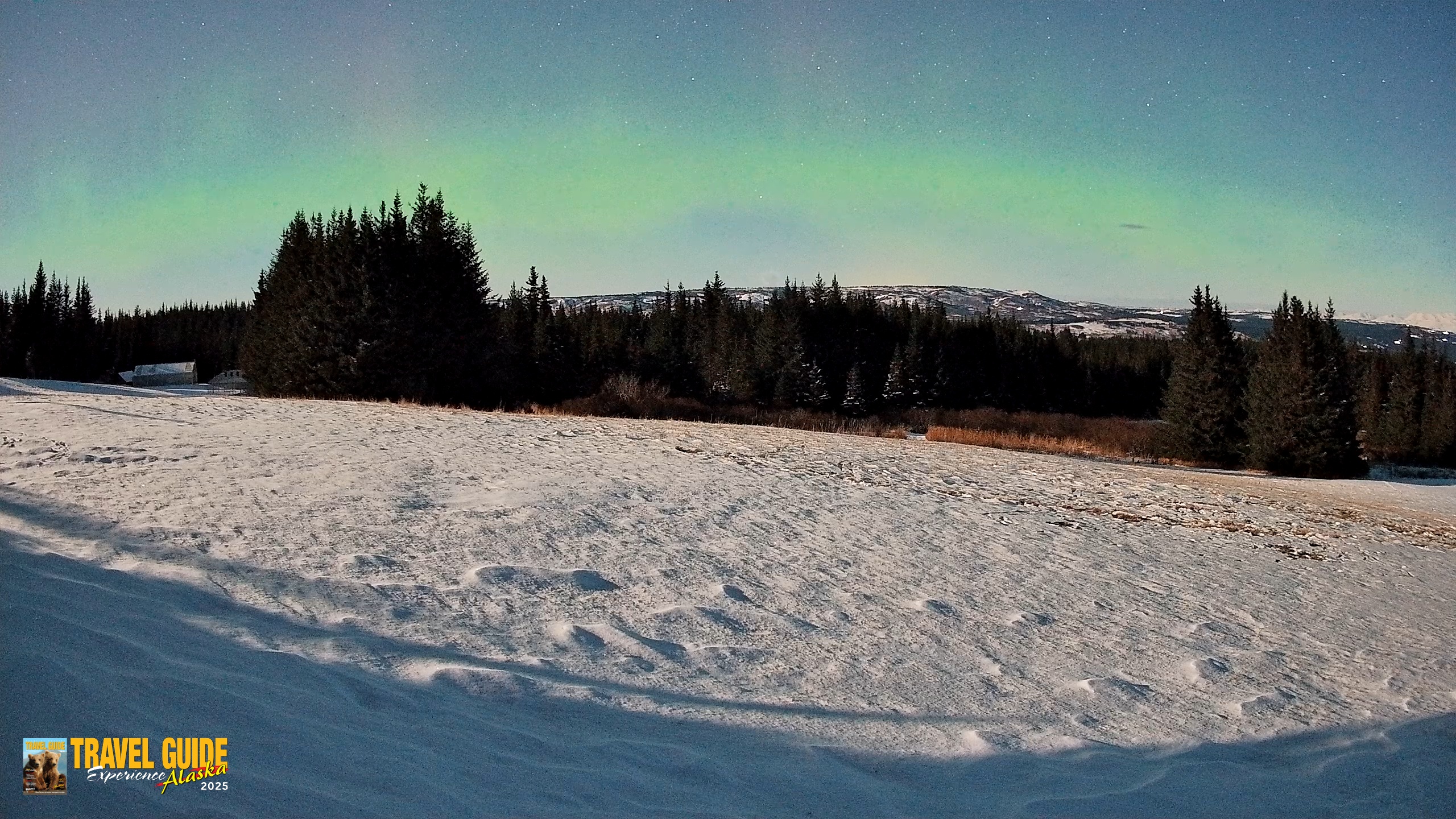 Snapshot of Homer Alaska Northern Lights Live Cam taken Dec 31, 2025, 4:50am AKST