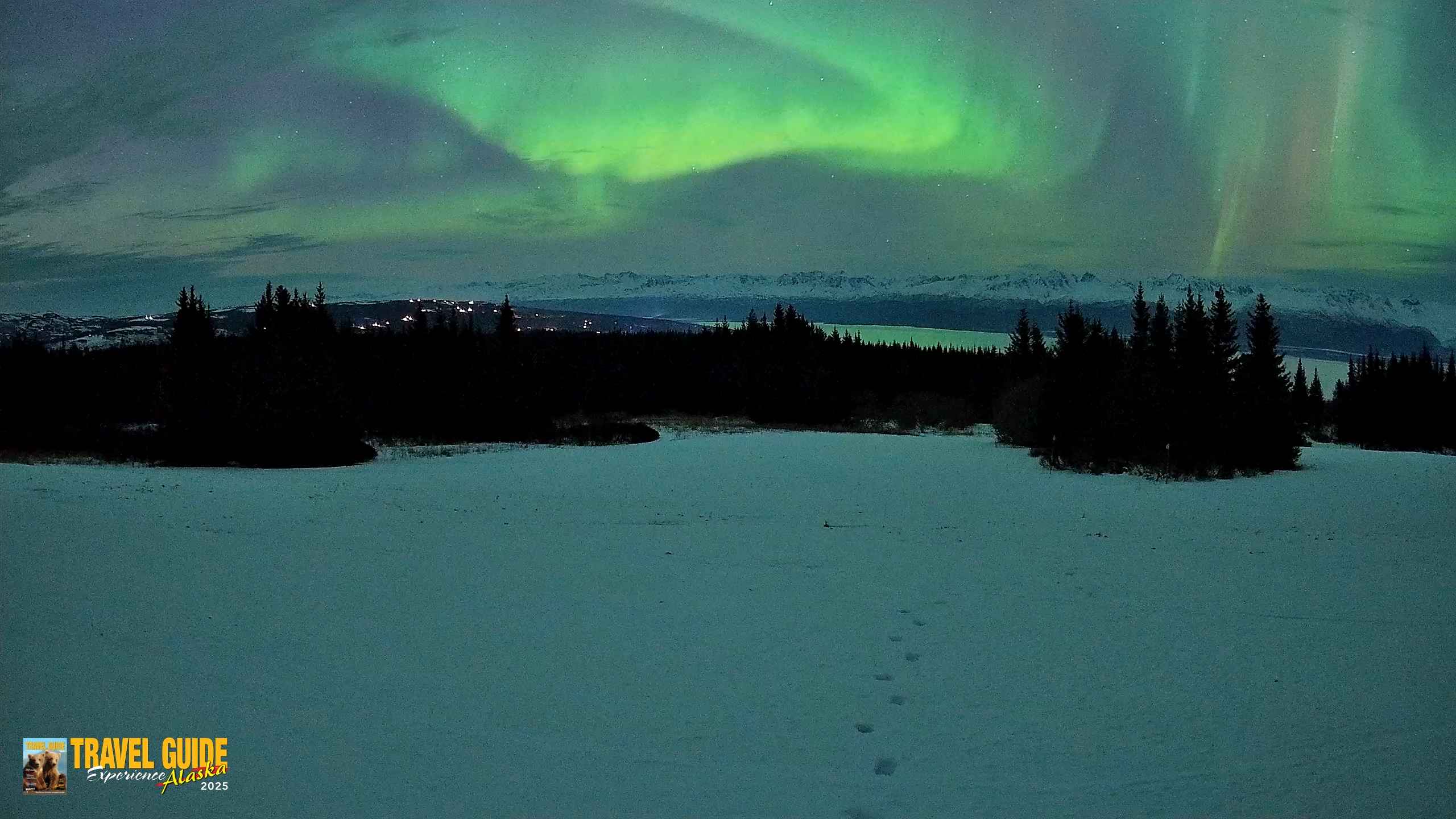 Snapshot of Homer Alaska Northern Lights Live Cam taken Jan 20, 2026, 11:14pm AKST