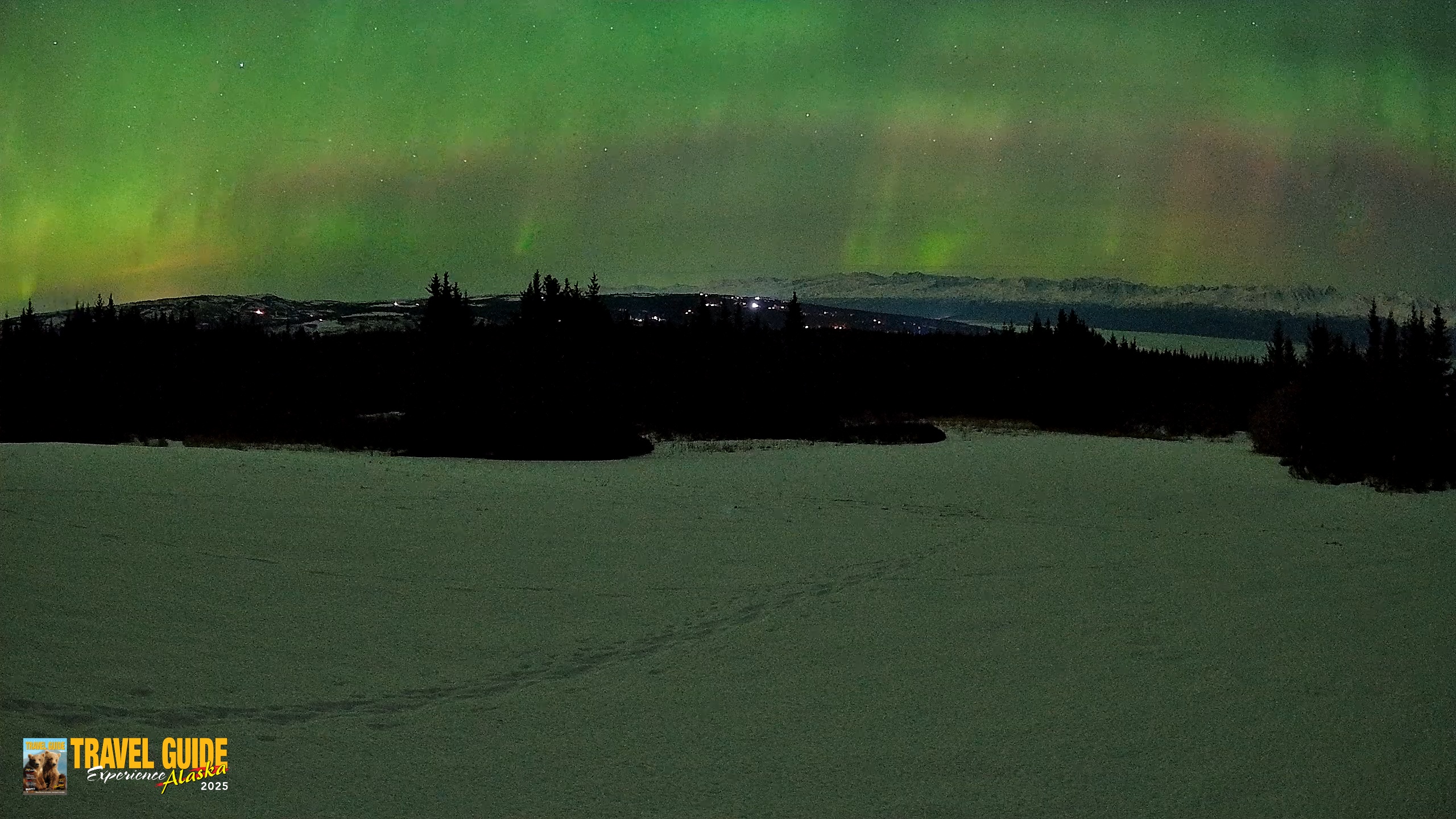 Snapshot of Homer Alaska Northern Lights Live Cam taken Feb 22, 2026, 12:19am AKST