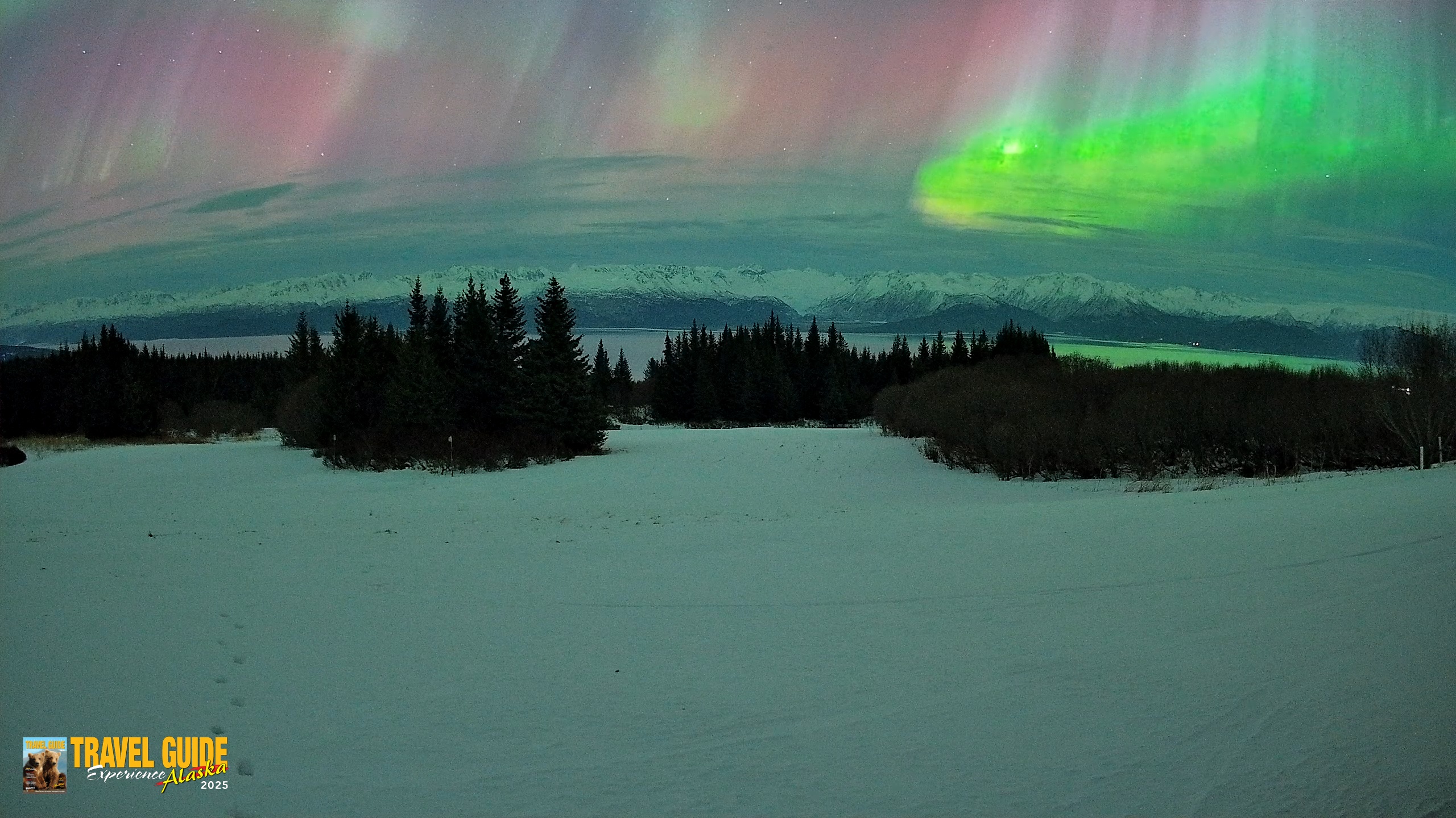 Snapshot of Homer Alaska Northern Lights Live Cam taken Jan 20, 2026, 3:22am AKST