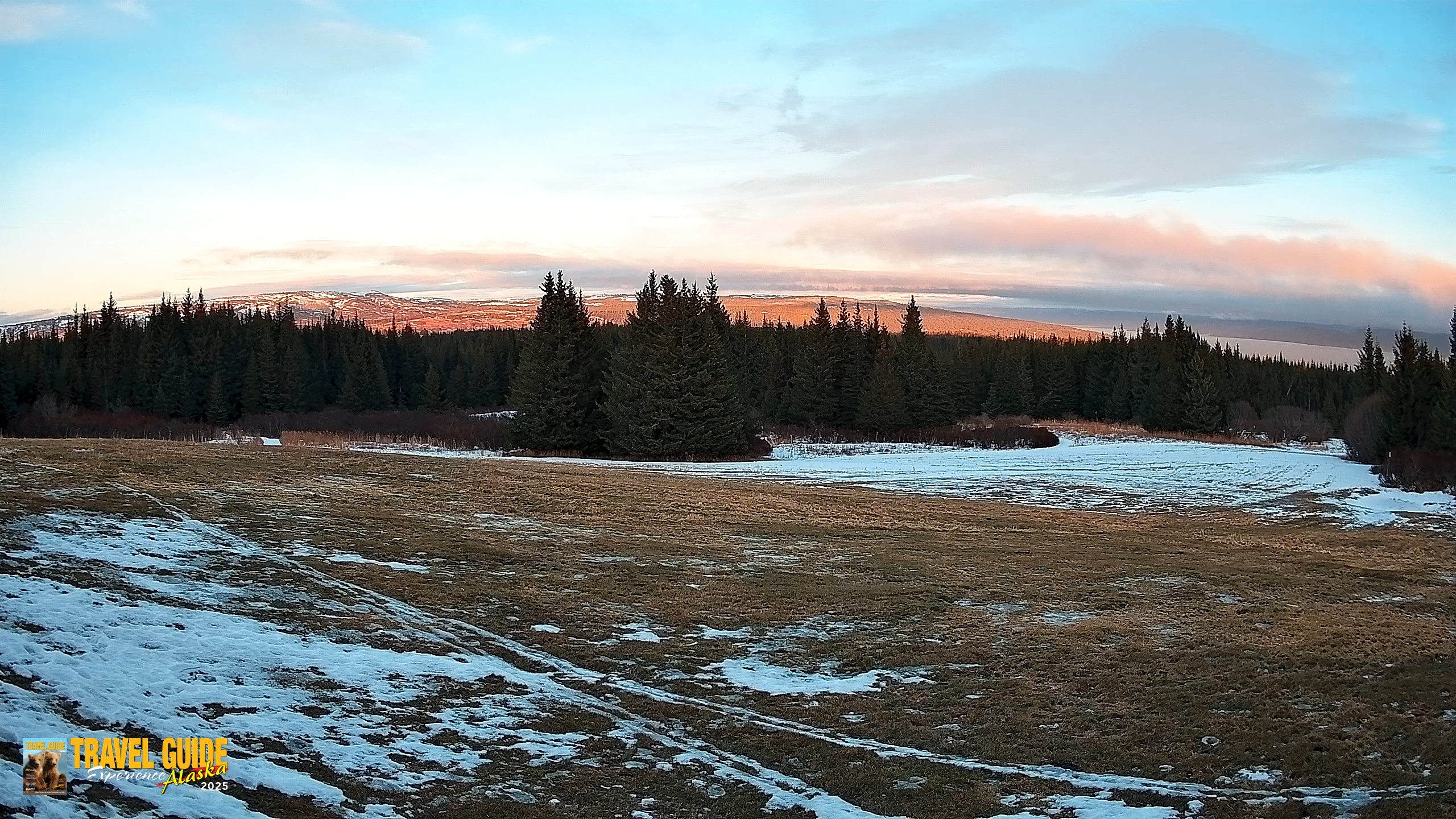 Snapshot of Homer Alaska Northern Lights Live Cam taken Feb 8, 2026, 5:25pm AKST