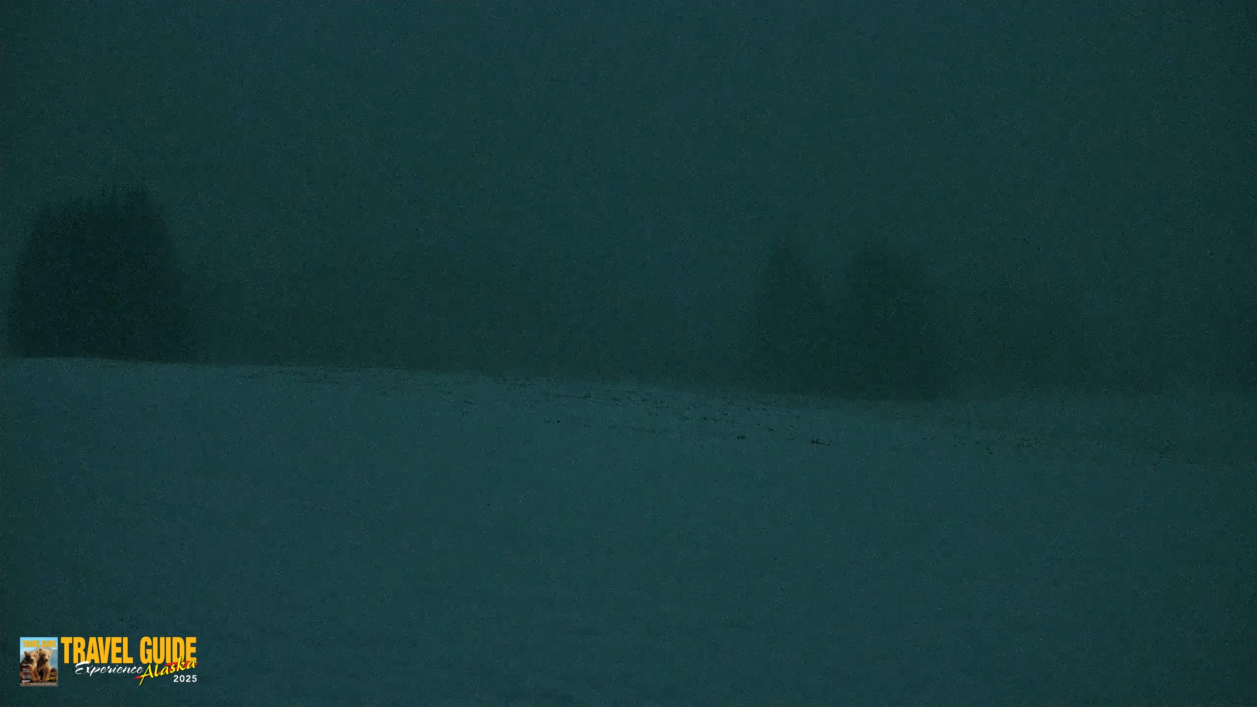 Snapshot of Homer Alaska Northern Lights Live Cam taken Apr 18, 2026, 12:18am AKDT