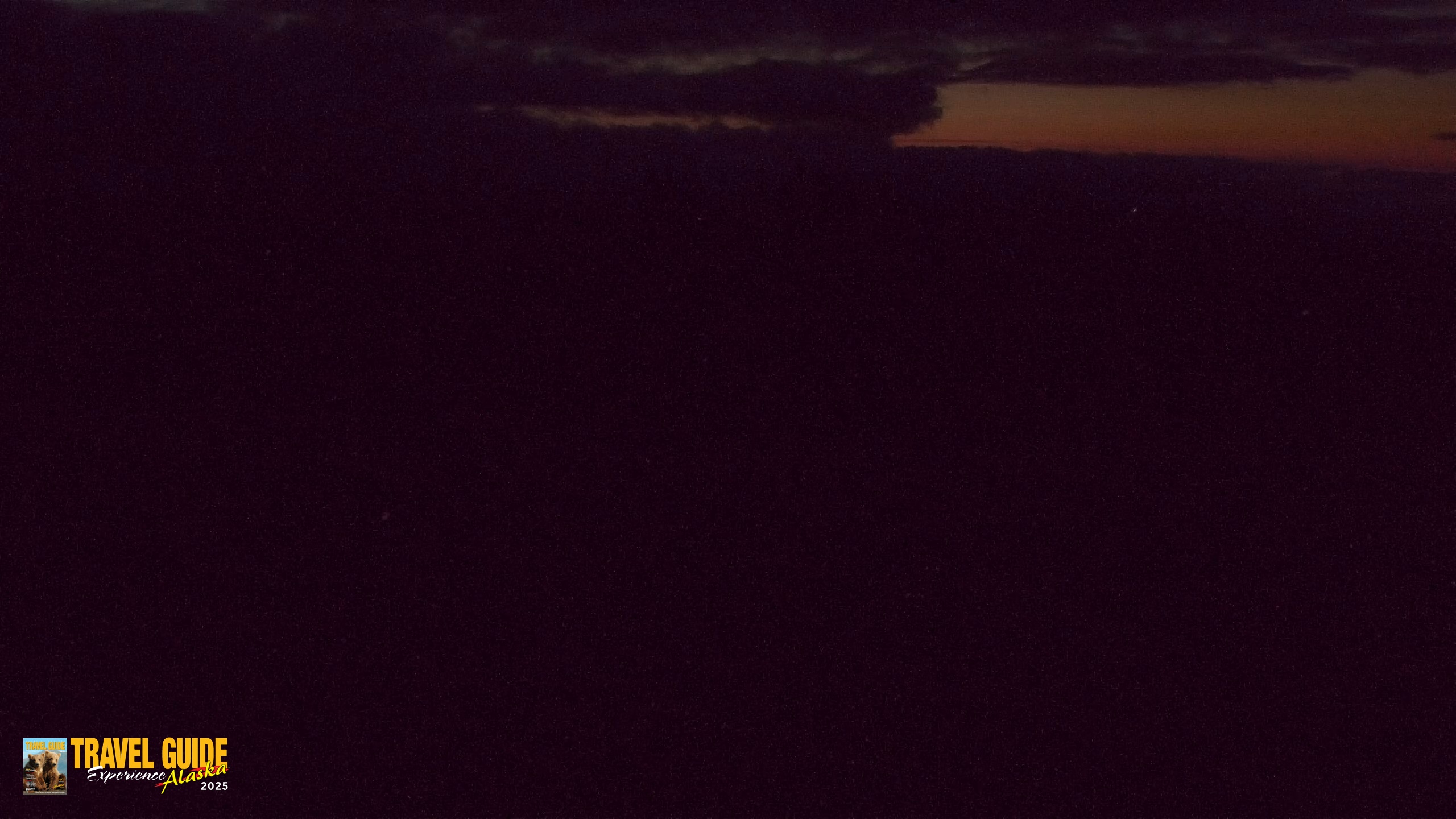 Snapshot of Homer Alaska Northern Lights Live Cam taken Aug 12, 2026, 4:48am AKDT