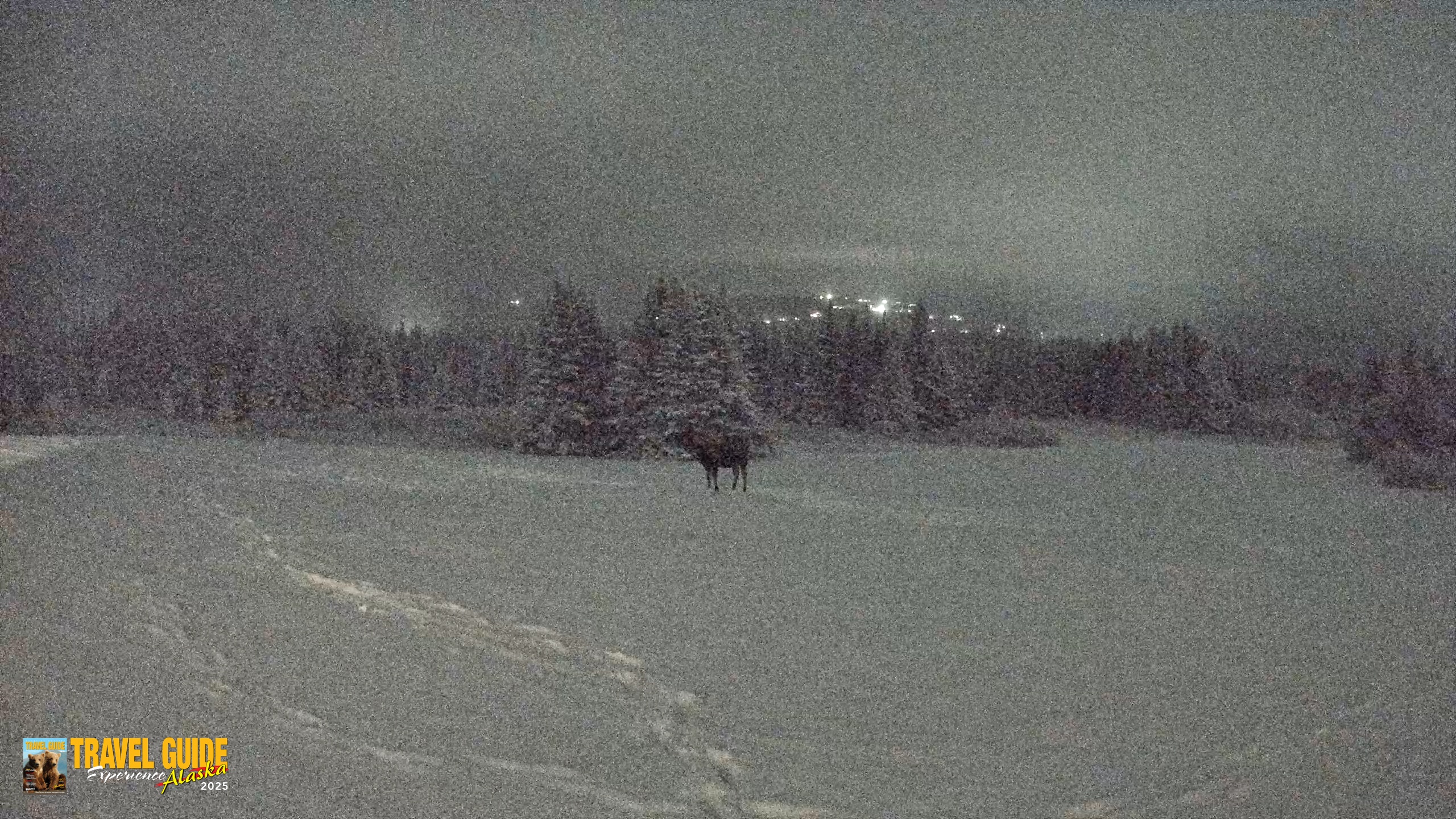 Snapshot of Homer Alaska Northern Lights Live Cam taken Jan 12, 2026, 10:28pm AKST