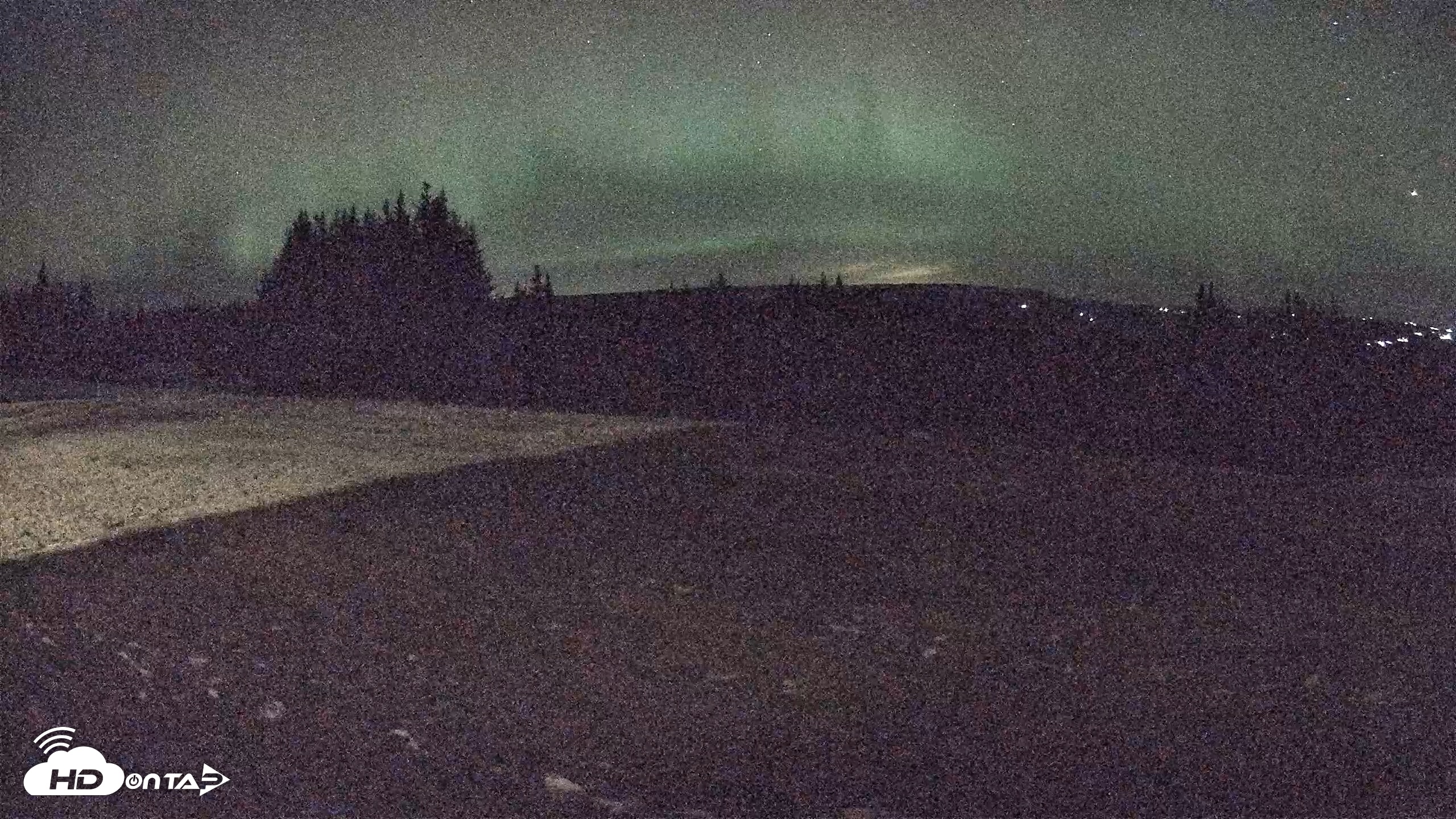 Snapshot of Homer Alaska Northern Lights Live Cam taken Dec 11, 2025, 7:52pm AKST