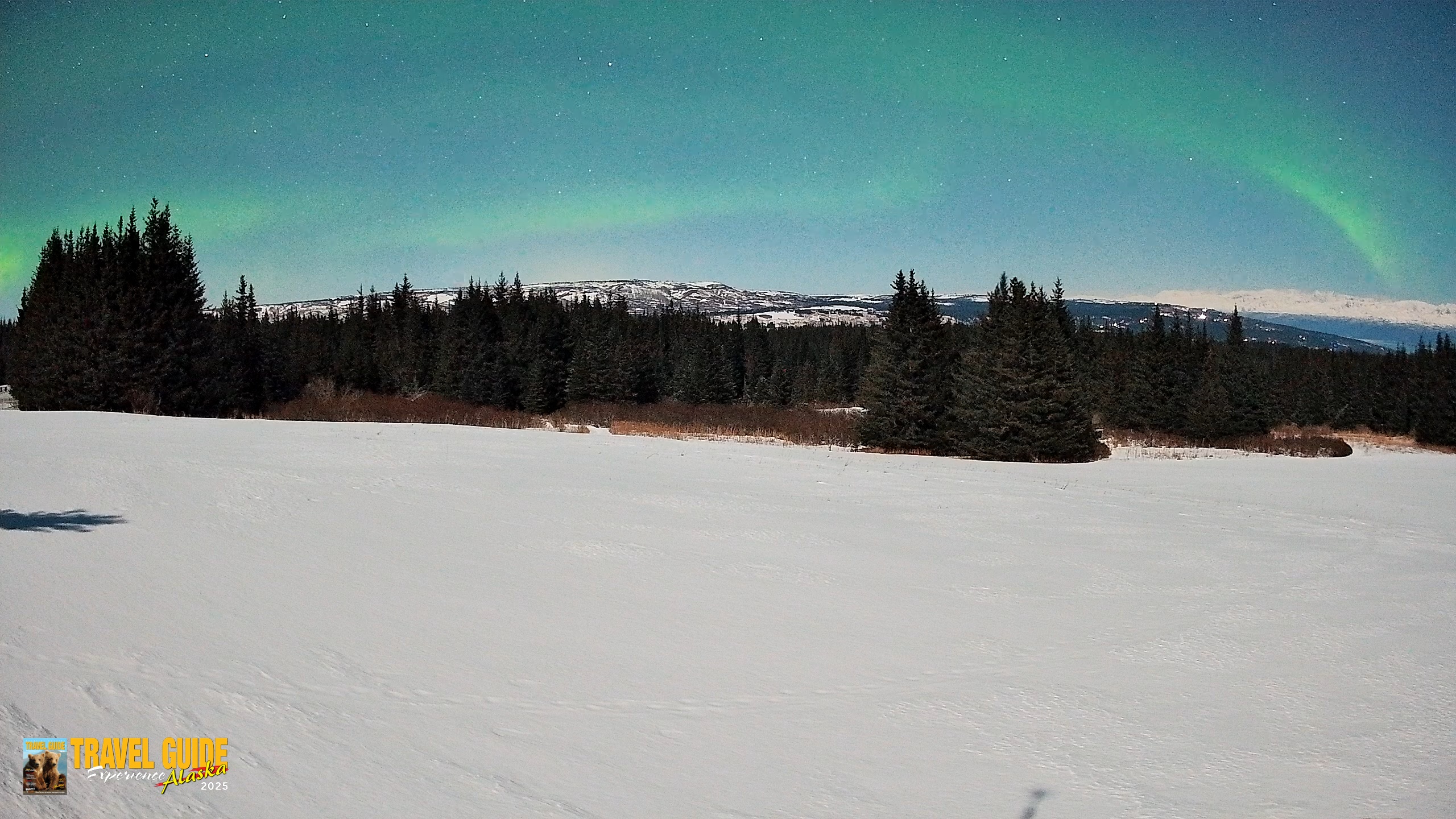 Snapshot of Homer Alaska Northern Lights Live Cam taken Feb 25, 2026, 11:48pm AKST