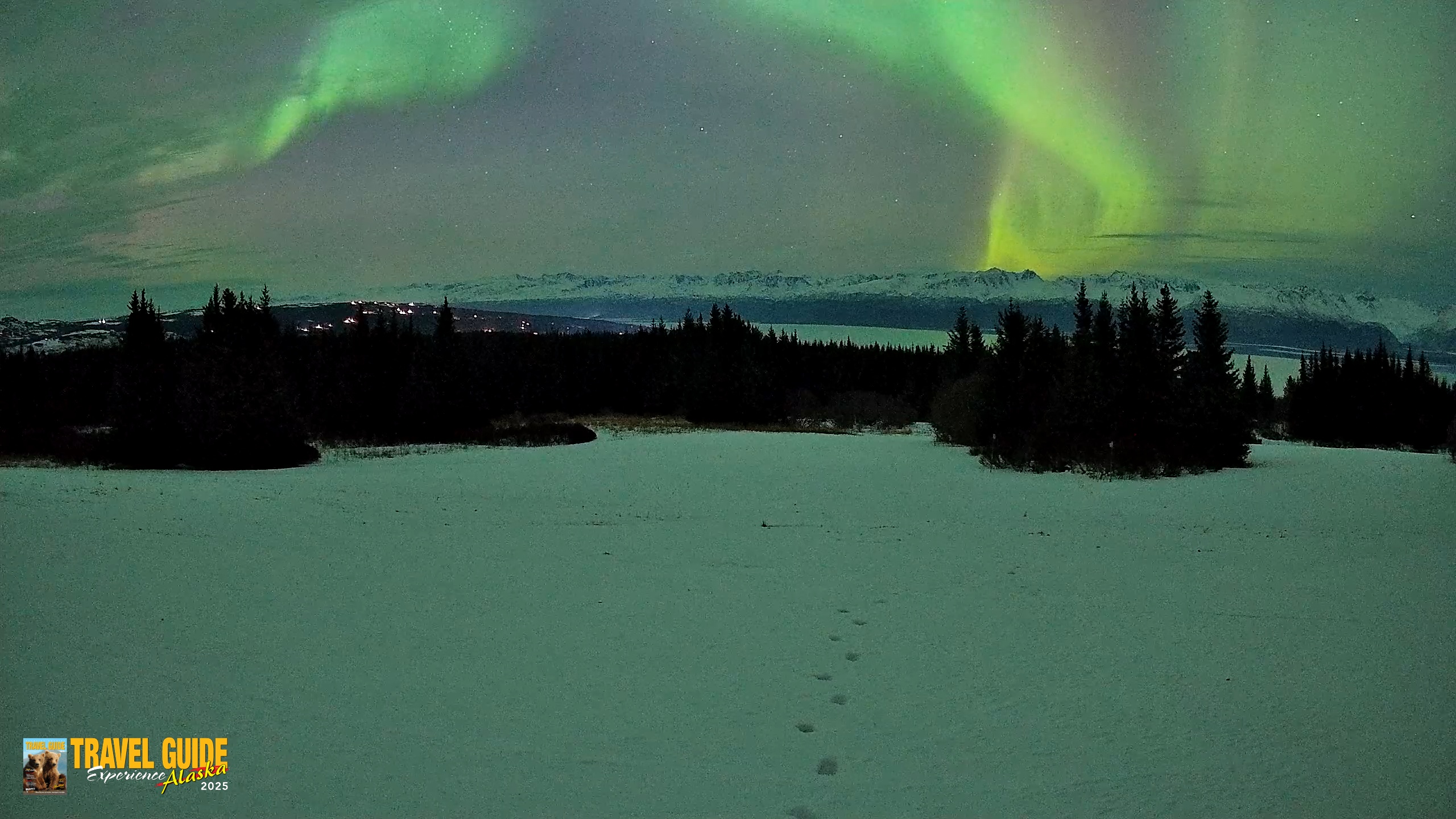Snapshot of Homer Alaska Northern Lights Live Cam taken Jan 20, 2026, 10:29pm AKST