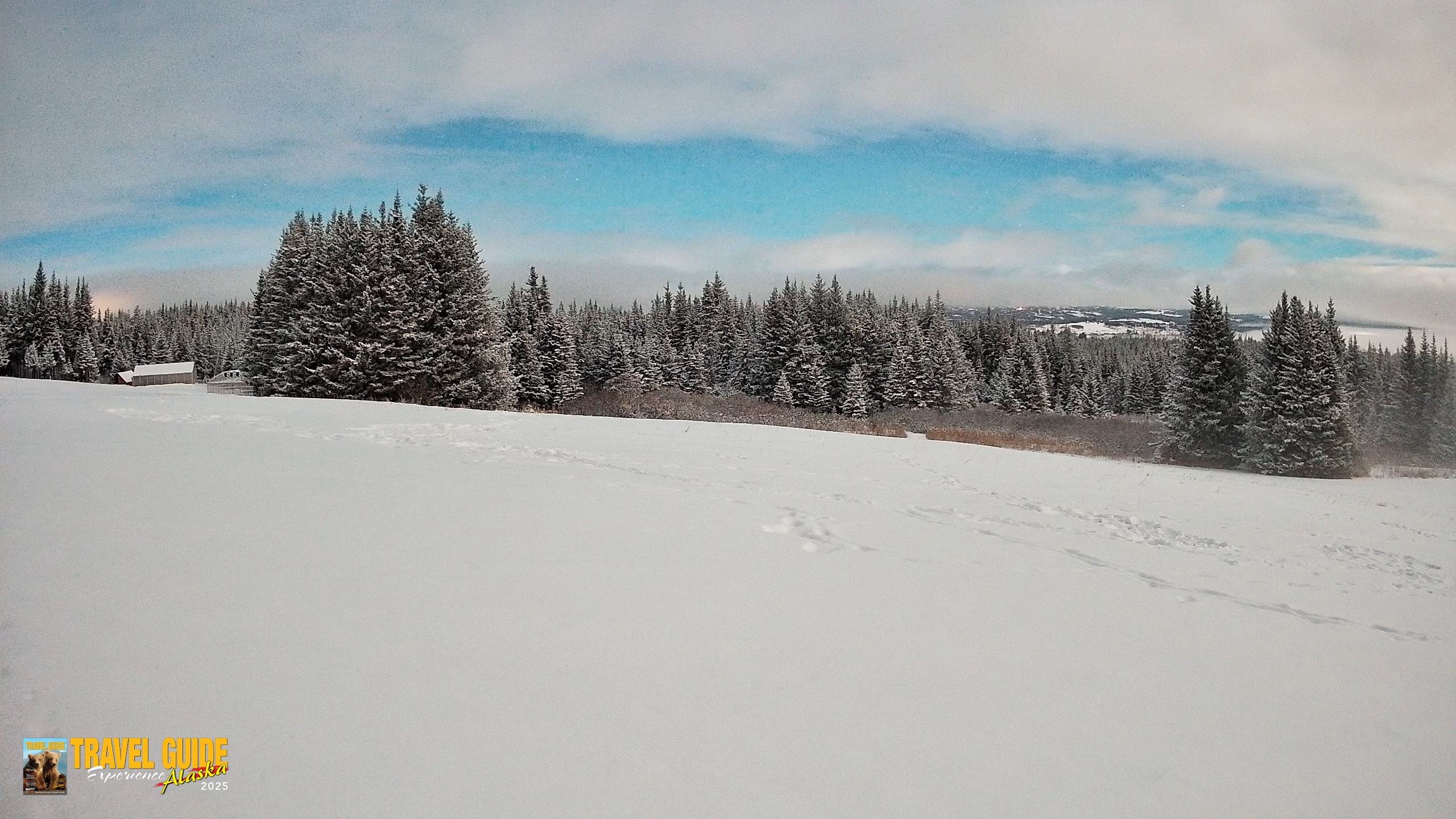Snapshot of Homer Alaska Northern Lights Live Cam taken Jan 6, 2026, 12:10am AKST