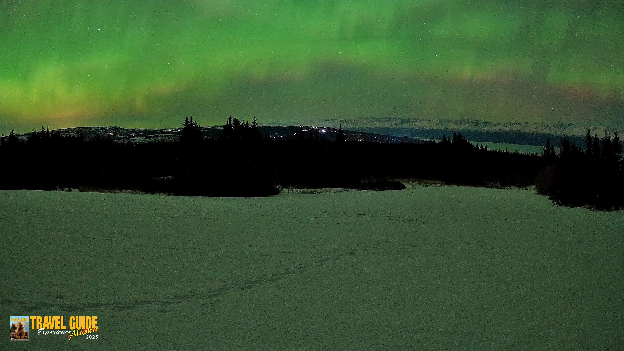 Snapshot of Homer Alaska Northern Lights Live Cam taken Feb 22, 2026, 12:15am AKST