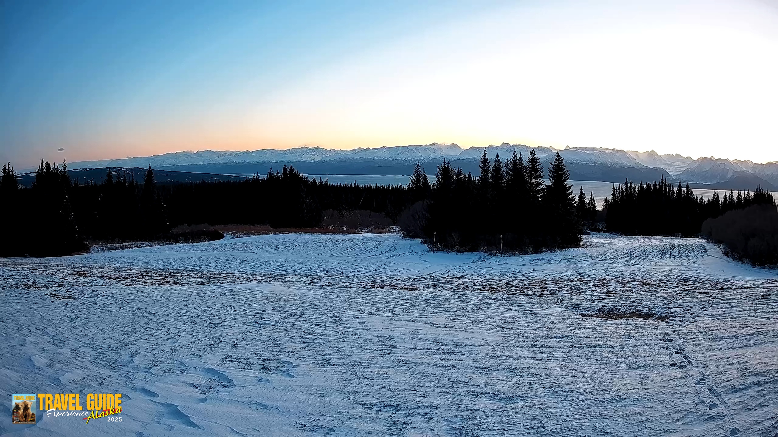 Snapshot of Homer Alaska Northern Lights Live Cam taken Dec 31, 2025, 10:15am AKST