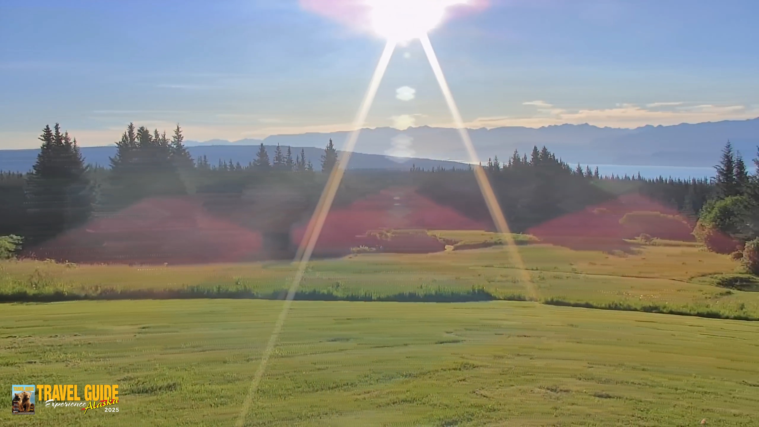 Snapshot of Homer Alaska Northern Lights Live Cam taken Jul 26, 2026, 7:18am AKDT