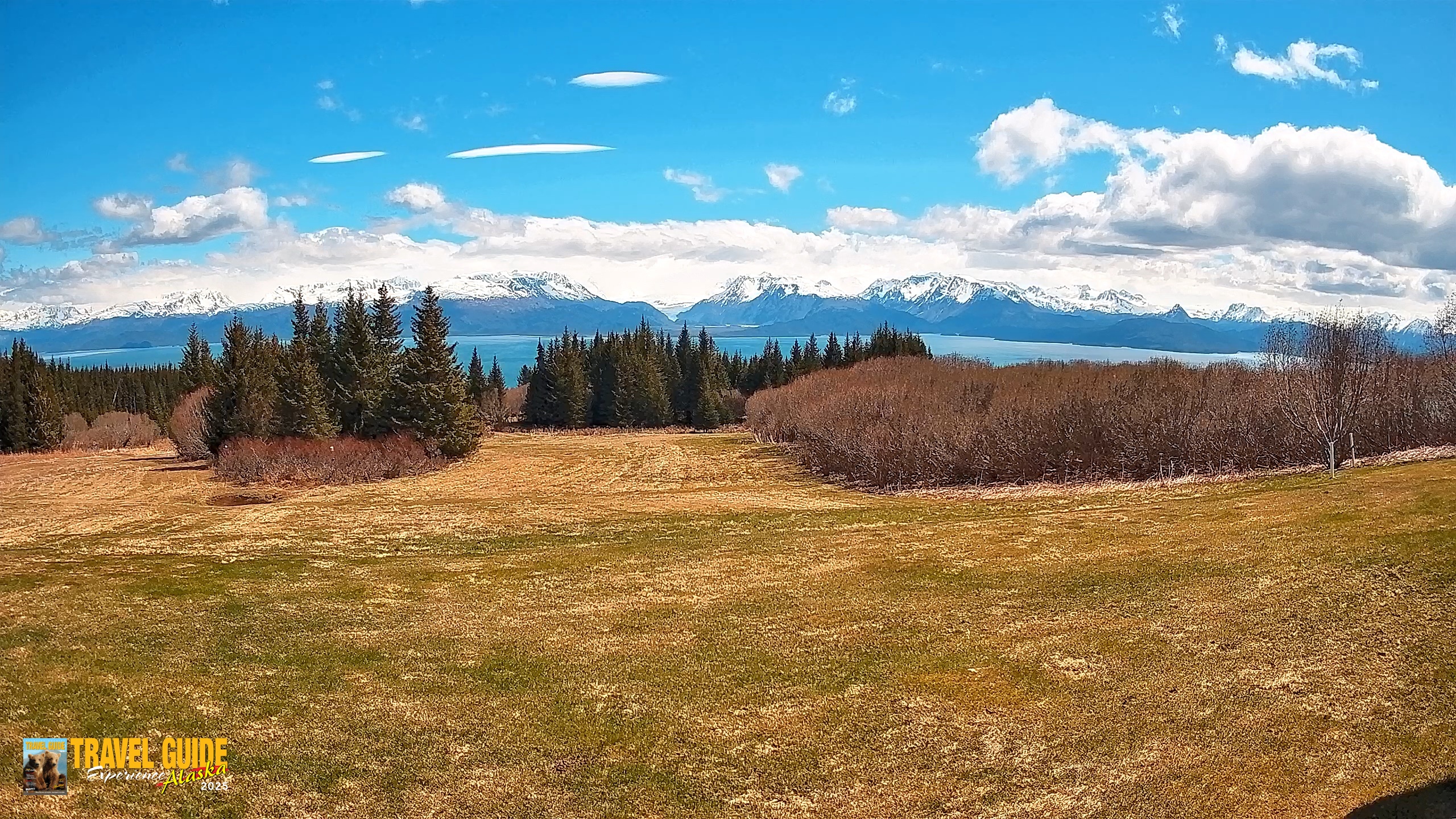 Snapshot of Homer Alaska Northern Lights Live Cam taken May 31, 2026, 2:24pm AKDT